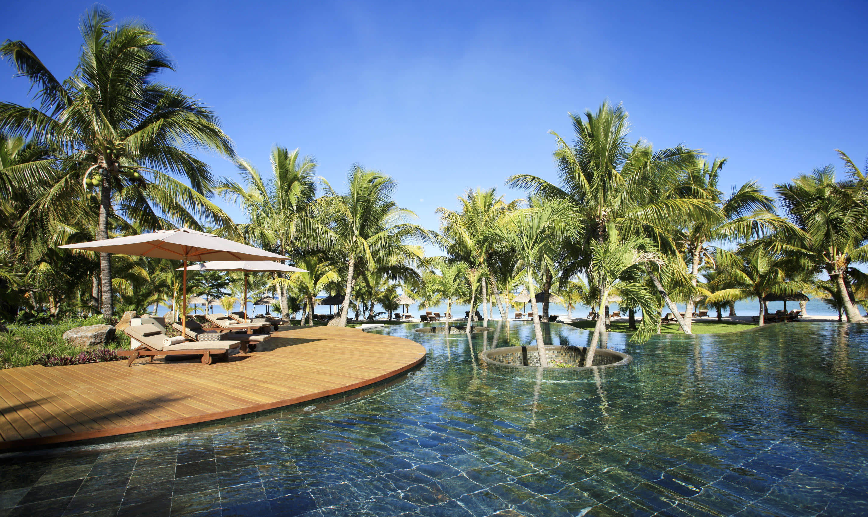 a group of palm trees next to a pool of water