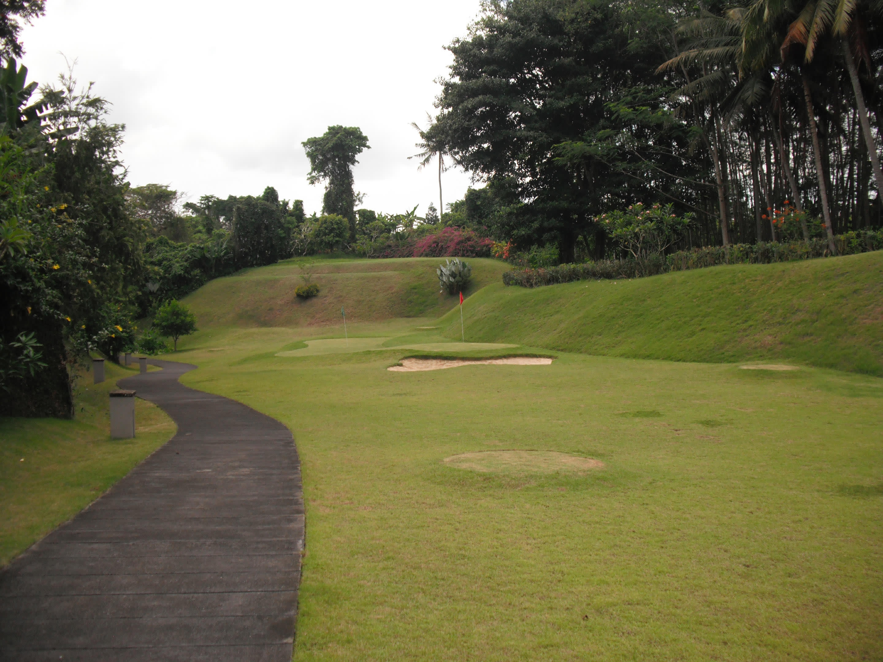 a path with trees on the side of a lush green field