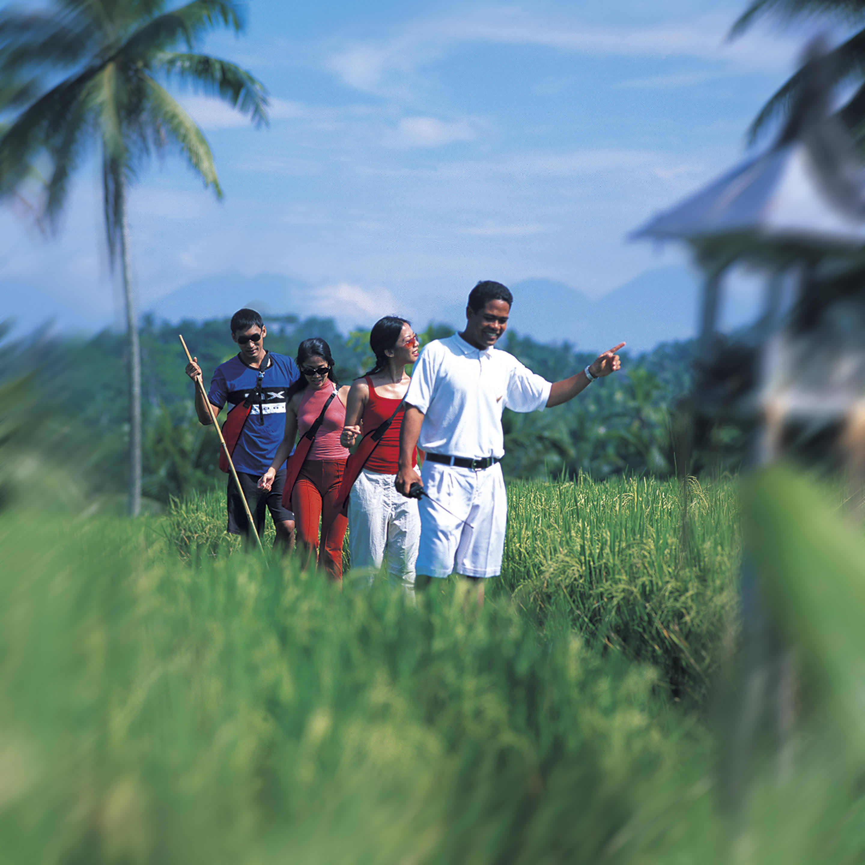 a group of people that are standing in the grass