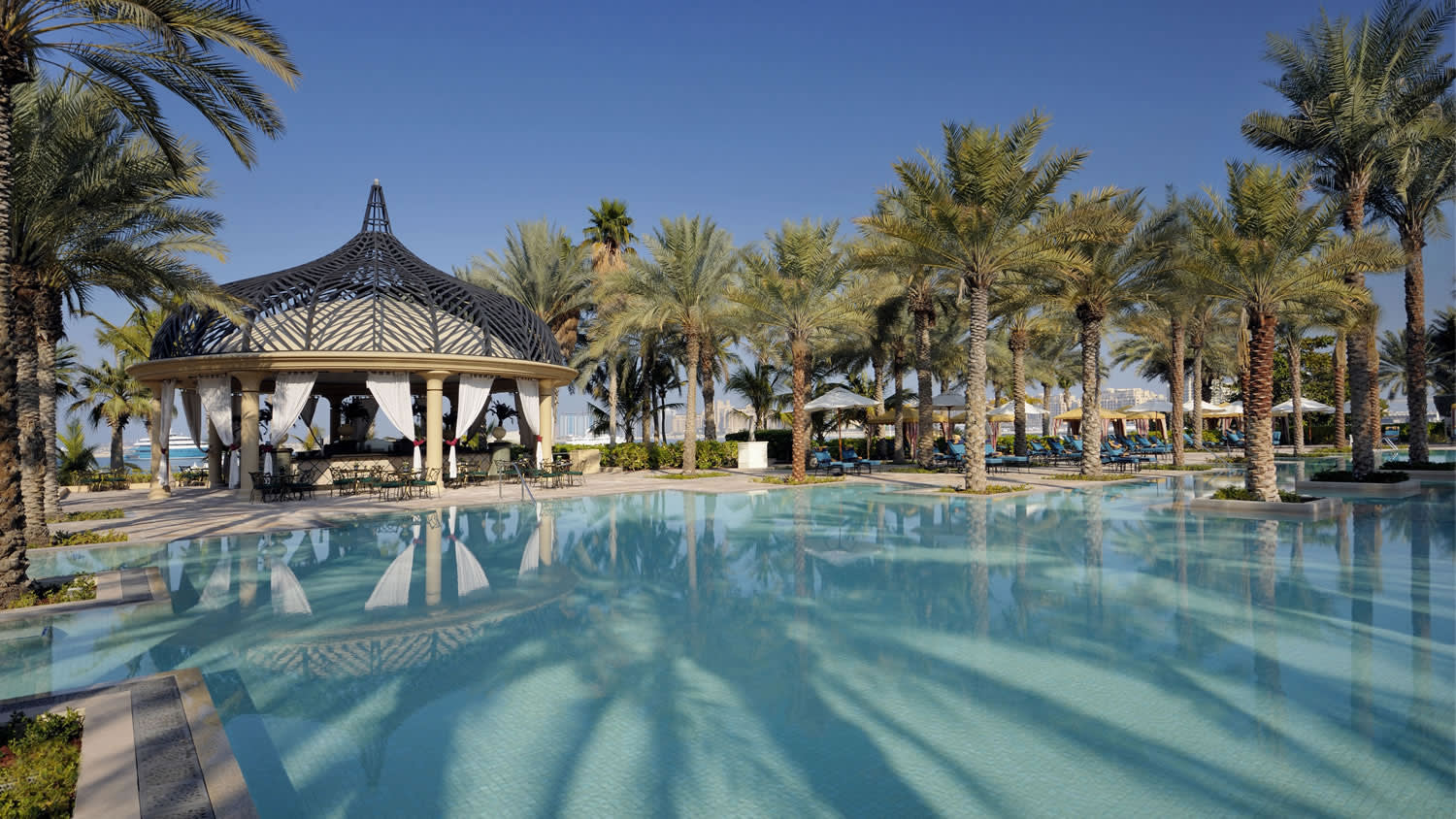 a group of palm trees next to a pool of water