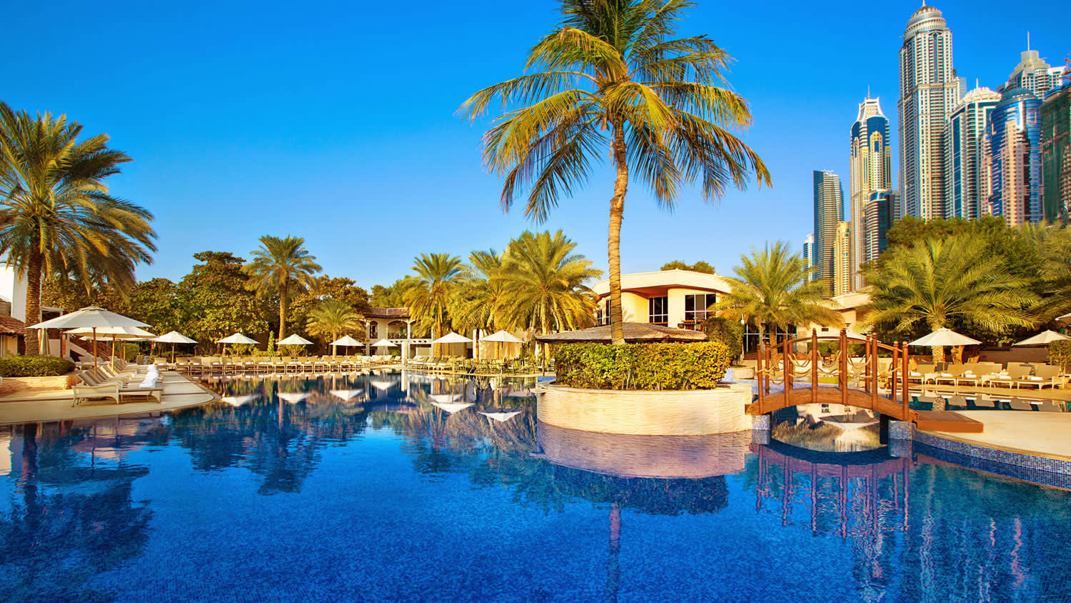 a pool next to a body of water surrounded by palm trees