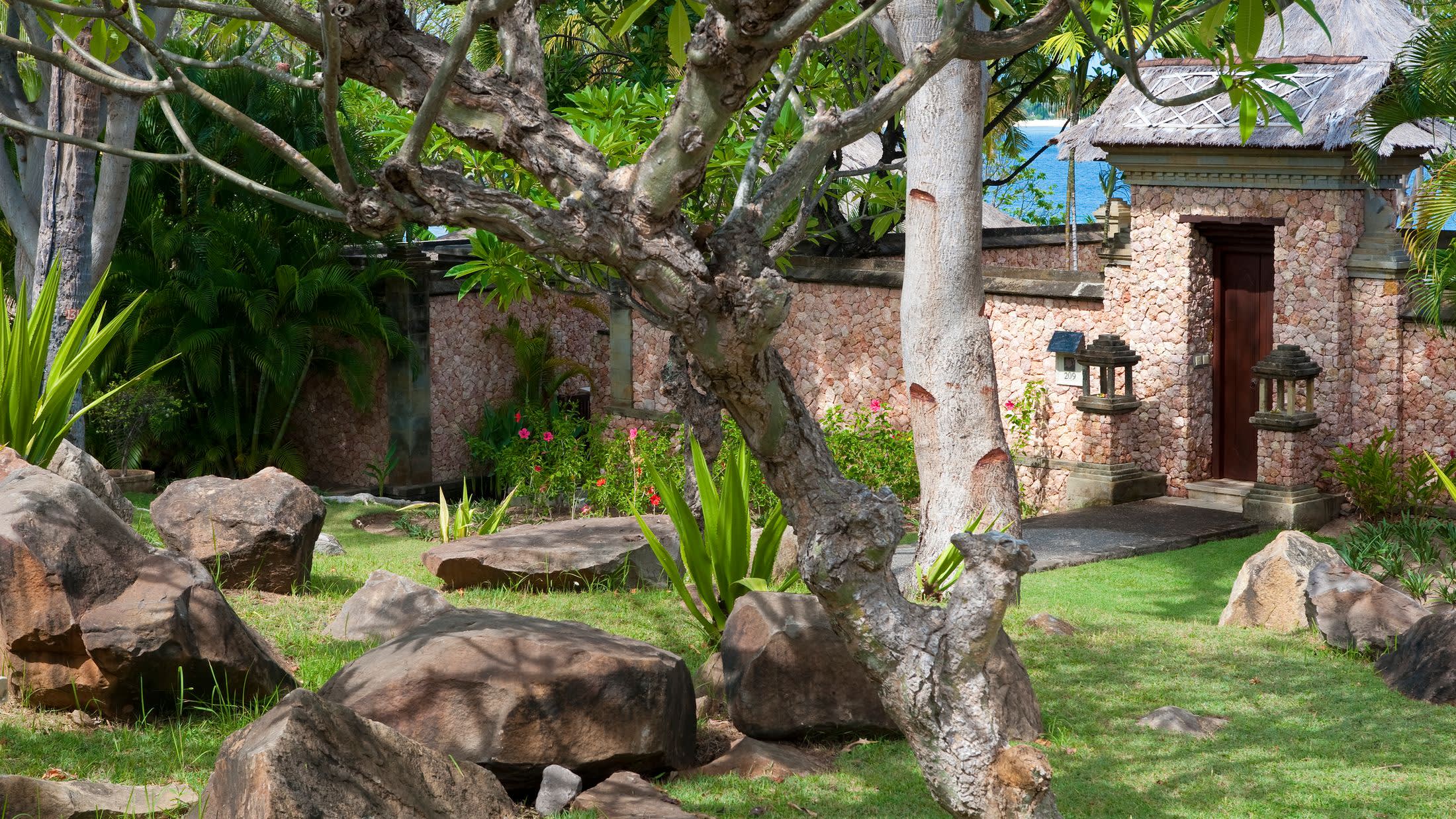 a tree next to a rock wall