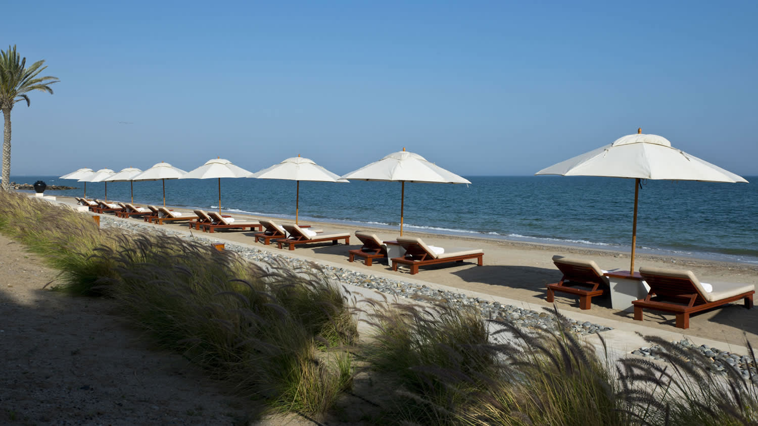 an umbrella sitting on top of a sandy beach