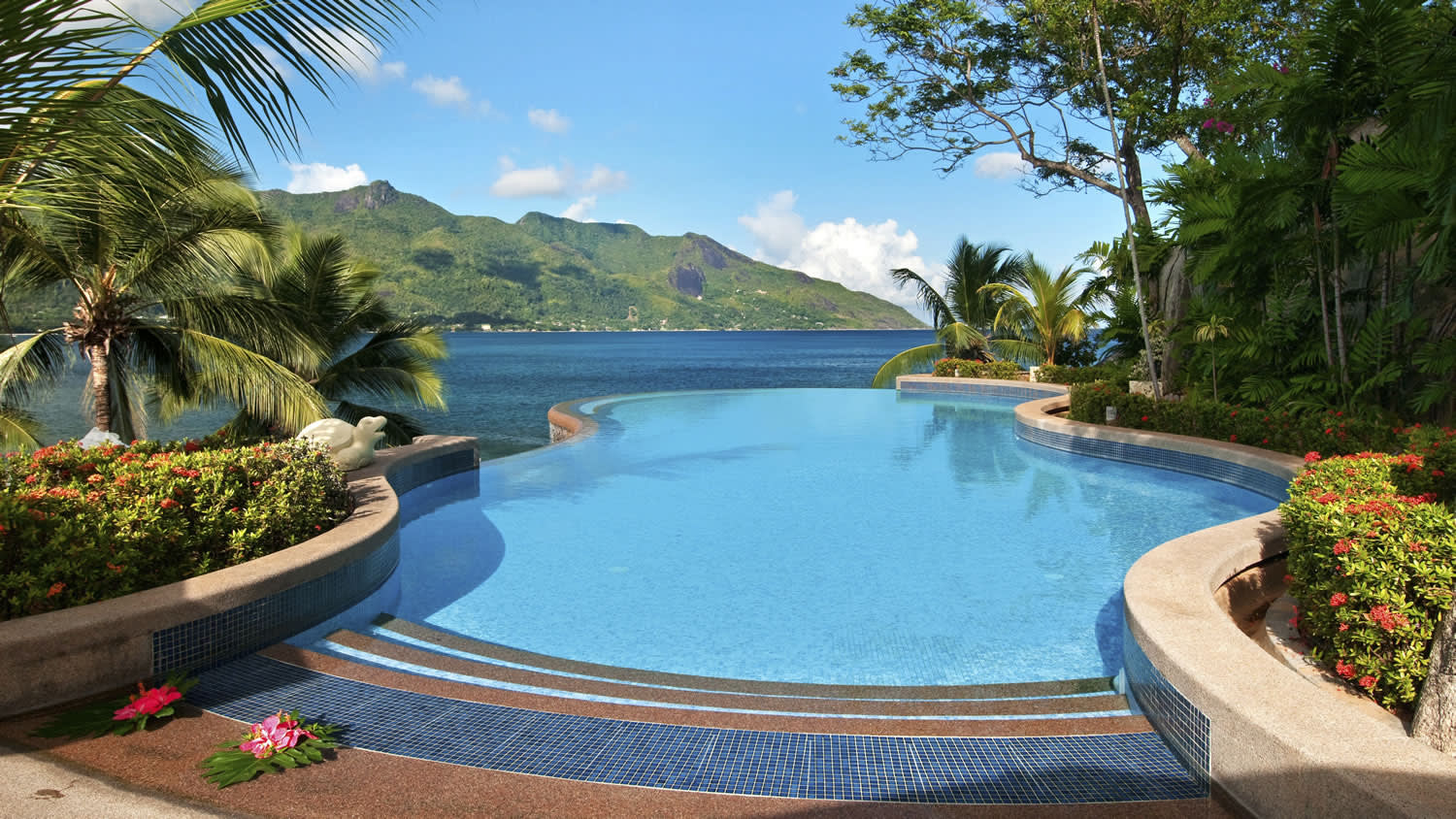 a pool next to a body of water surrounded by palm trees