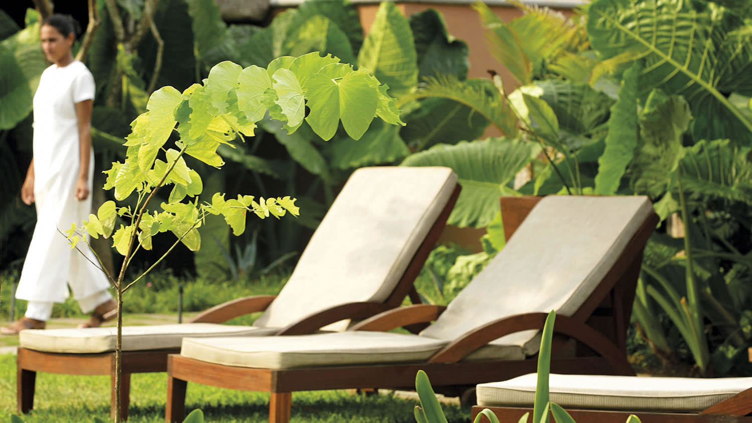 a dining table in a garden