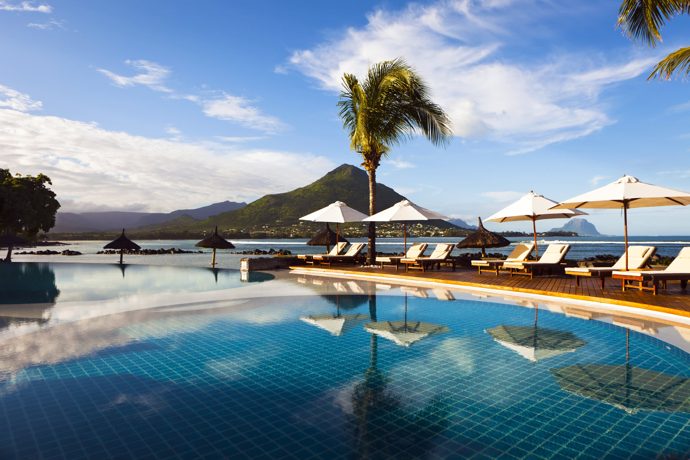 a group of palm trees next to a body of water