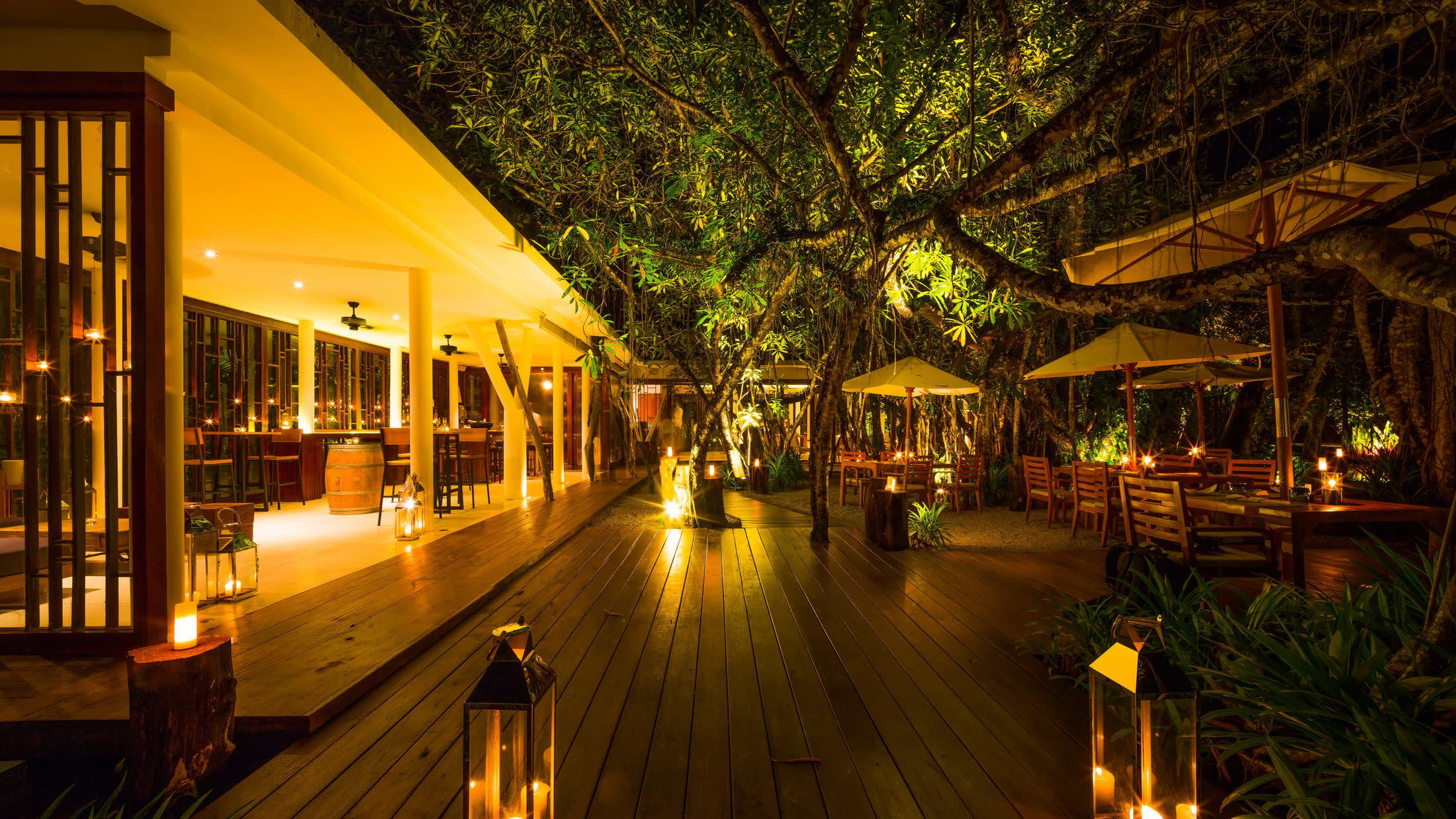 a train on the tracks at night