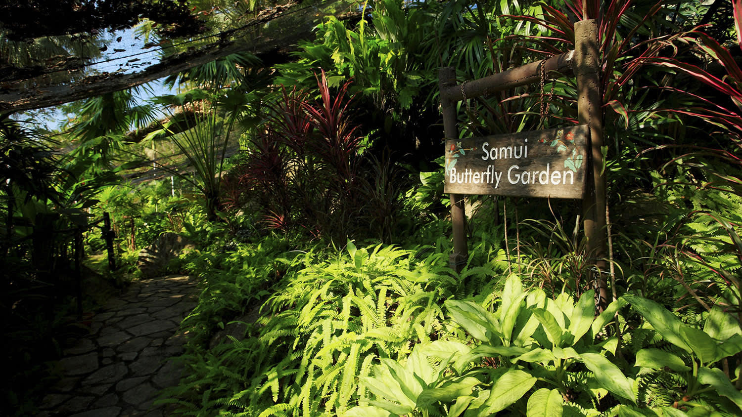 Centara Villas Samui