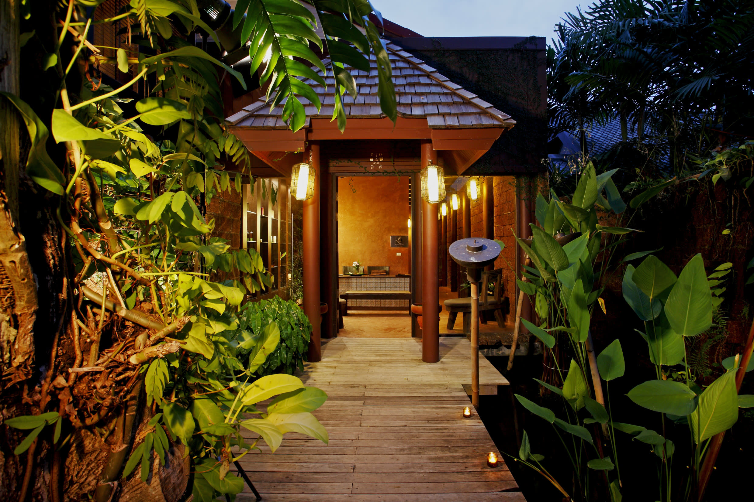 a group of people in a garden