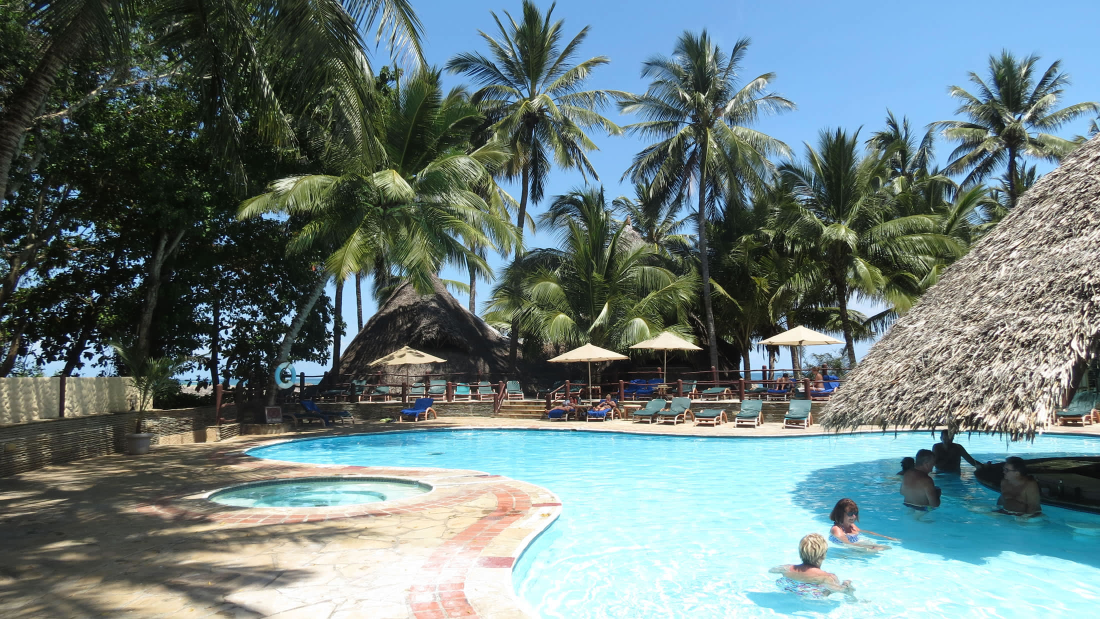 a group of people swimming in a pool of water