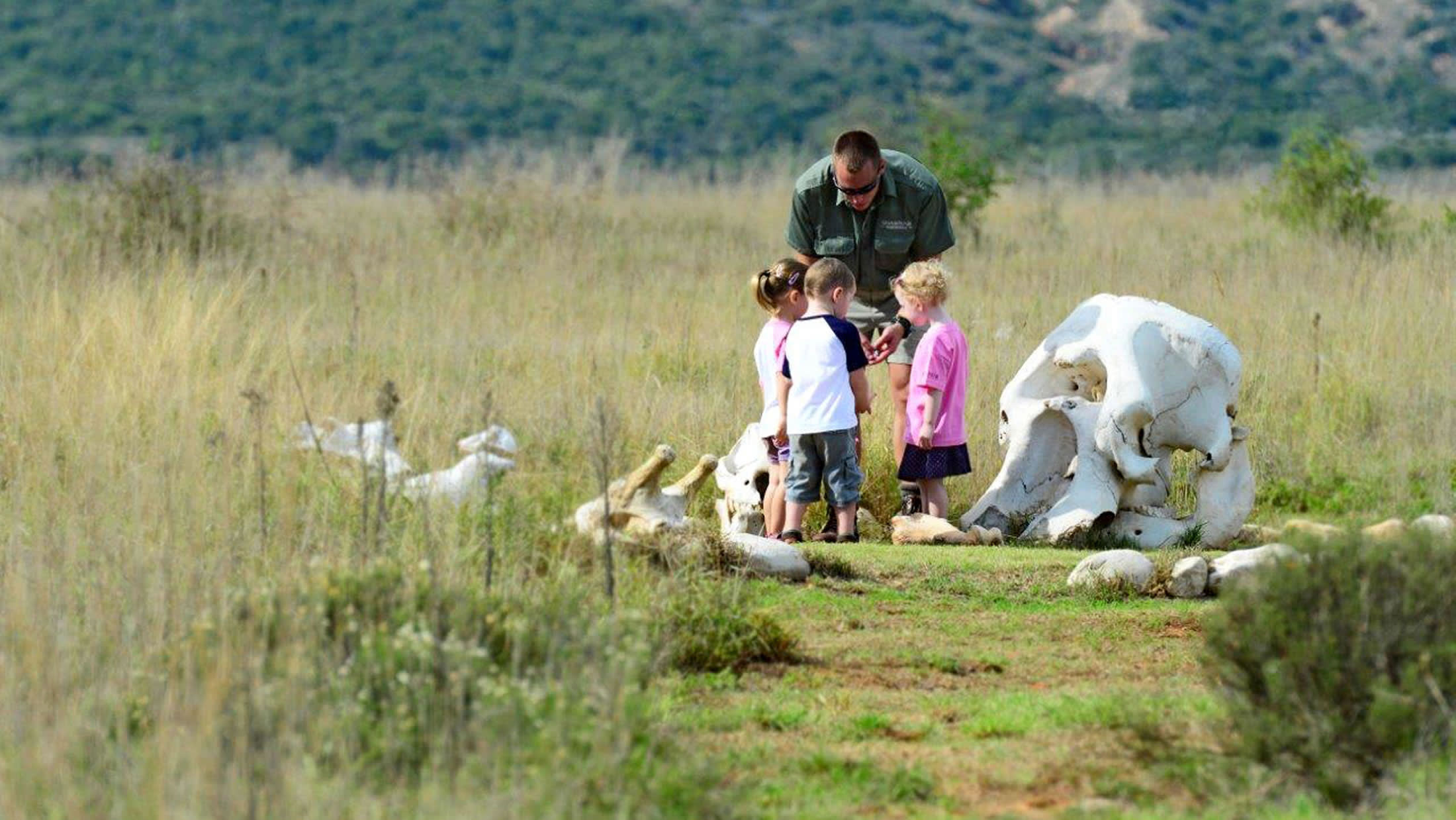 Shamwari Private Game Reserve