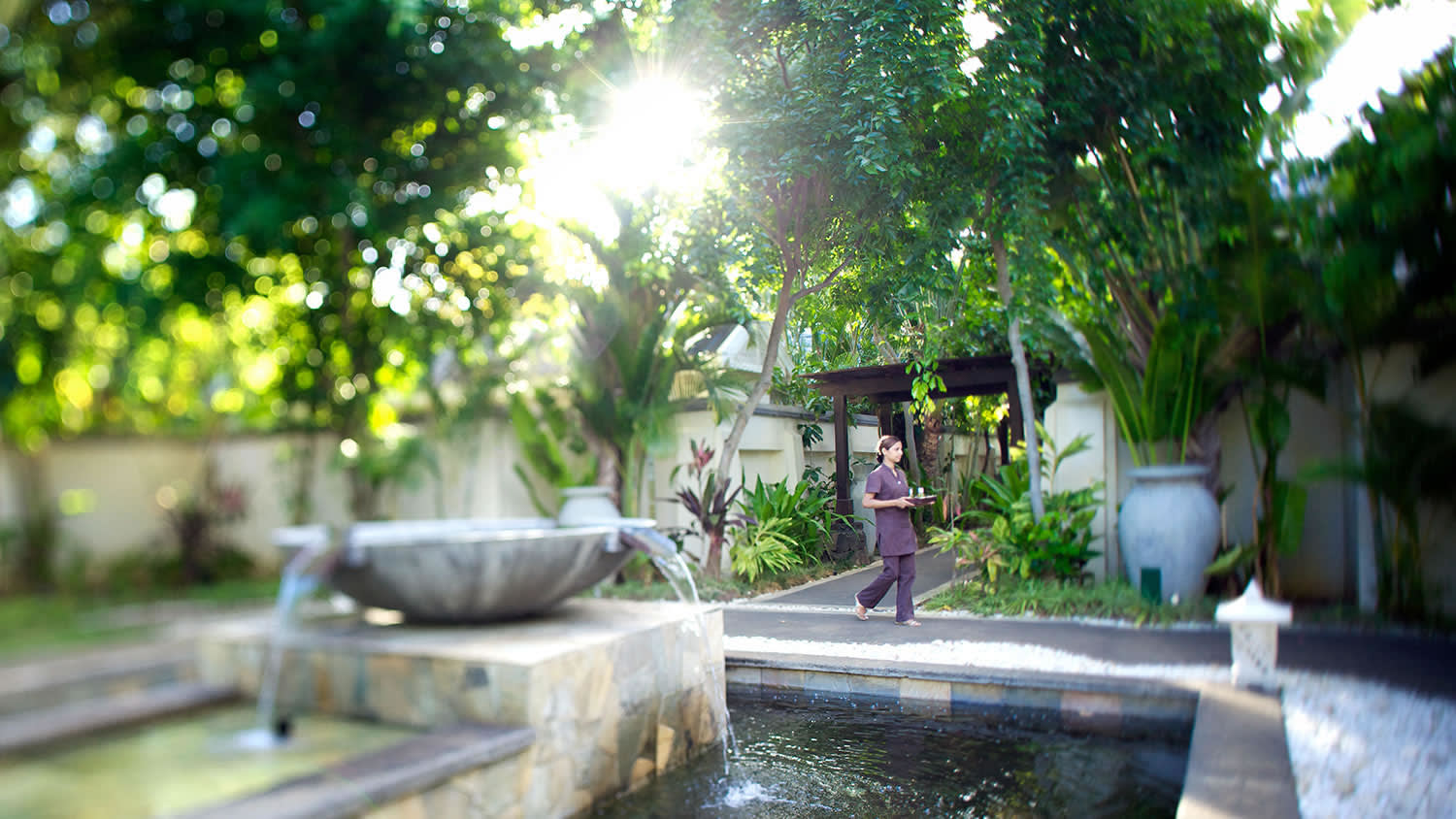 a garden with water in the background