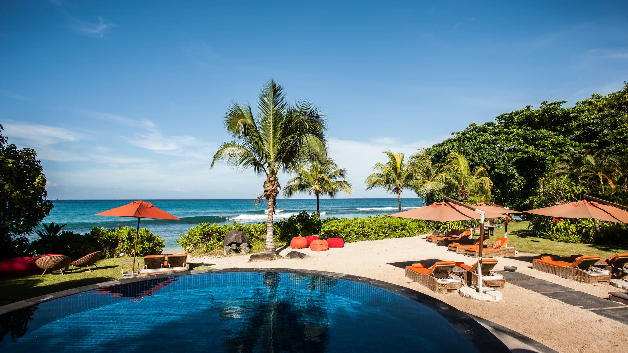 a group of palm trees next to a pool of water