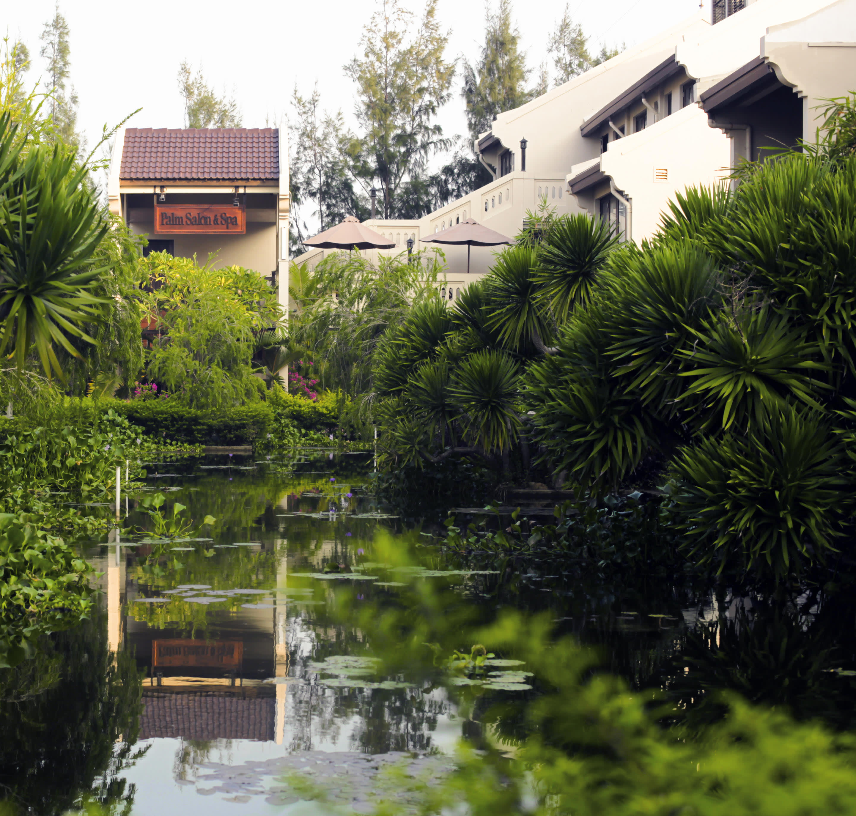 a house with bushes in front of a pond