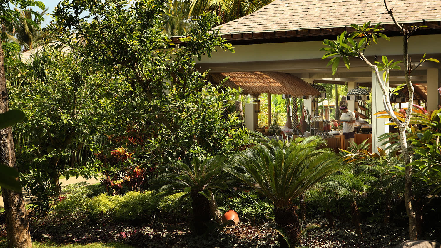 a tree in front of a building