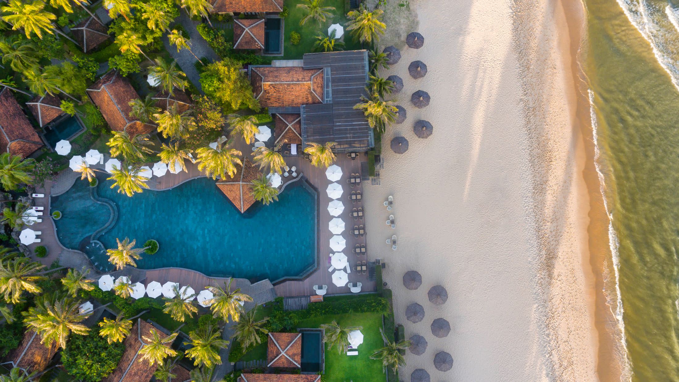 a close up of a flower