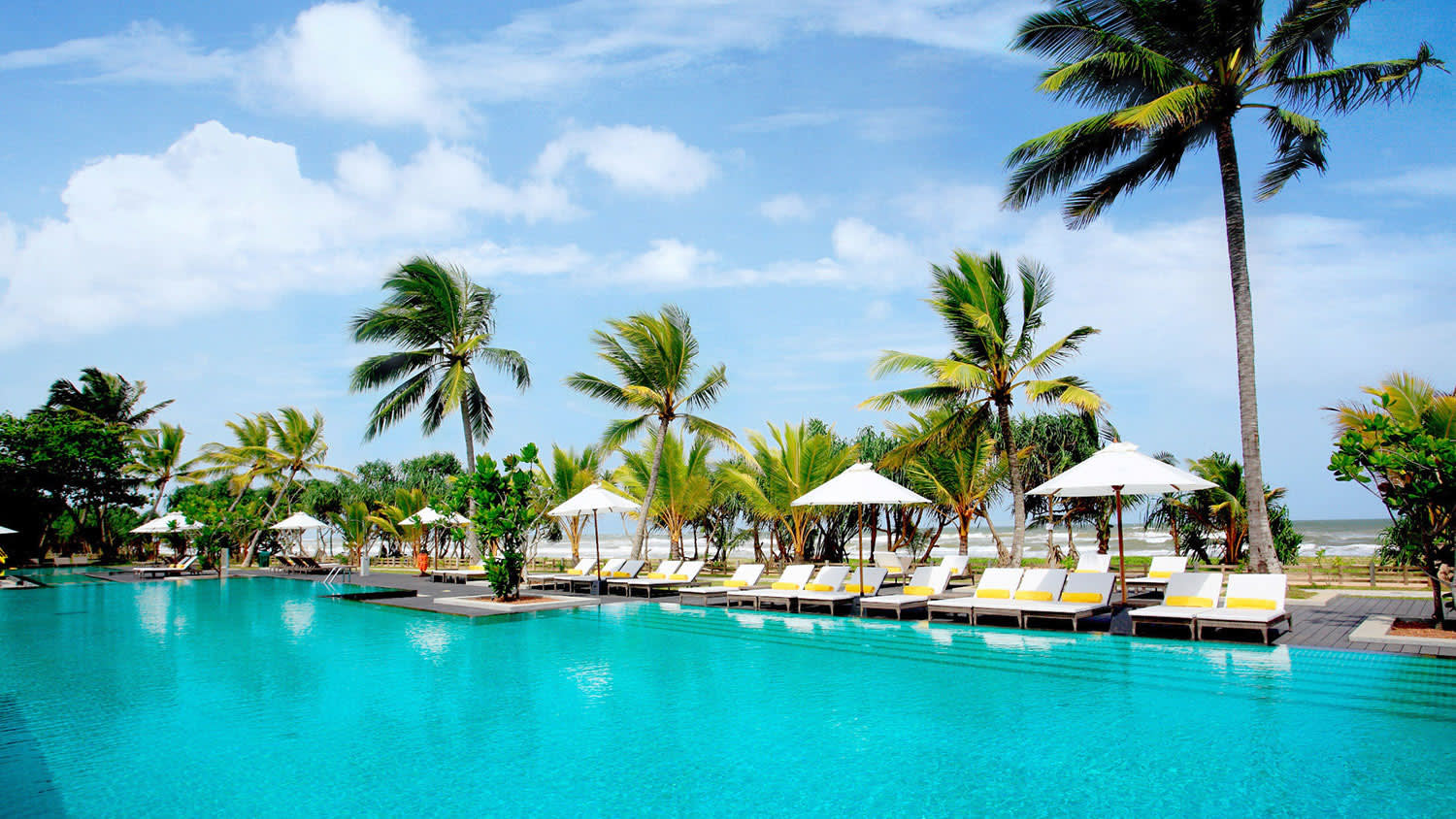 a pool next to a body of water surrounded by palm trees