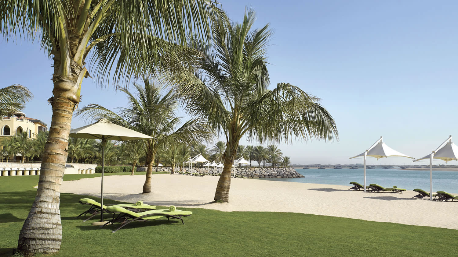 a palm tree in front of a body of water