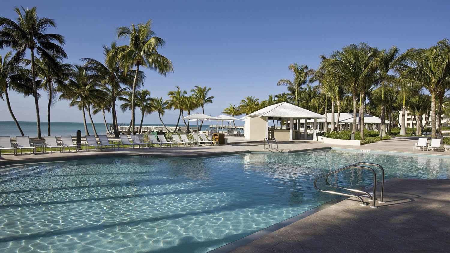 a group of palm trees next to a pool of water