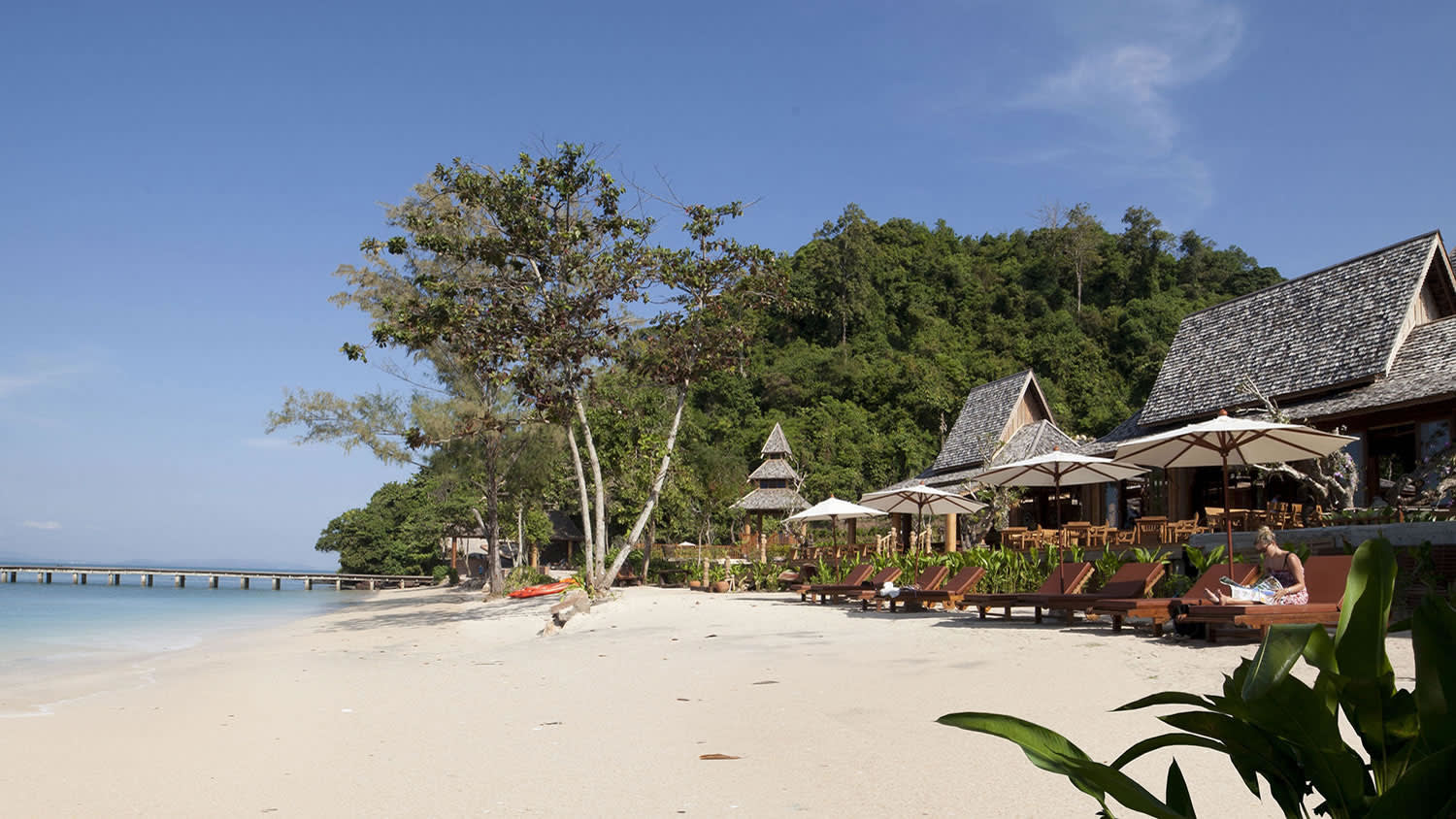 a group of palm trees on a beach