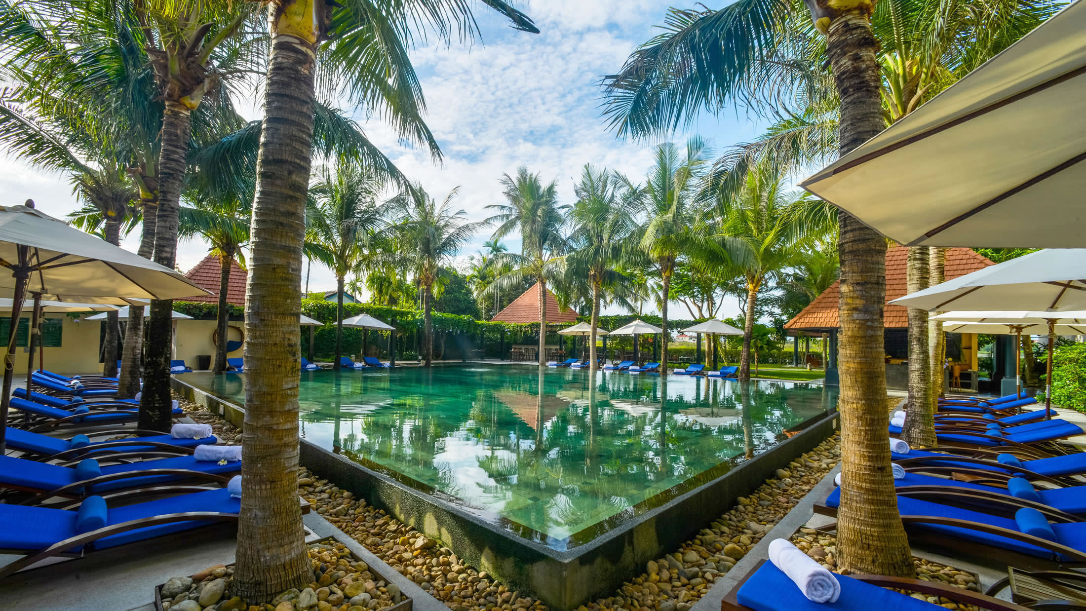 a group of palm trees on the side of a building