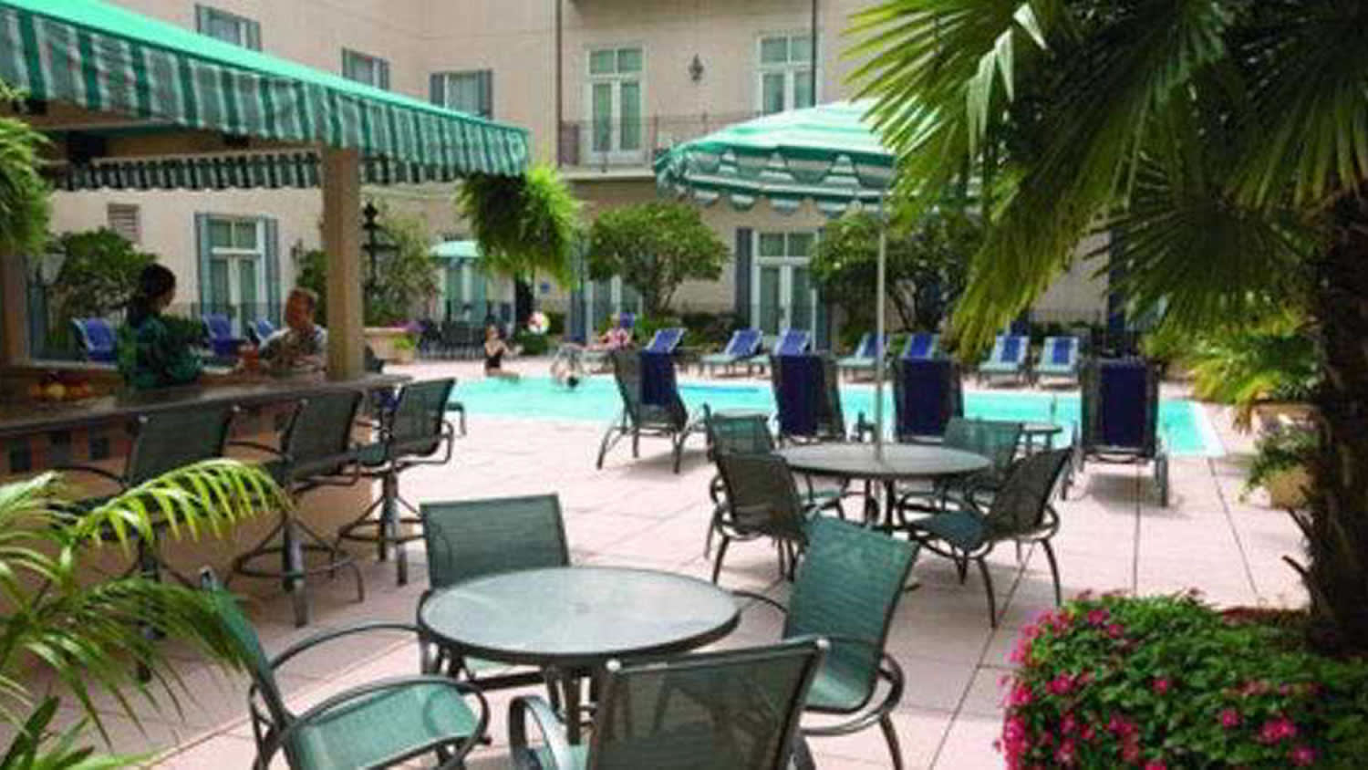 a group of lawn chairs and palm trees