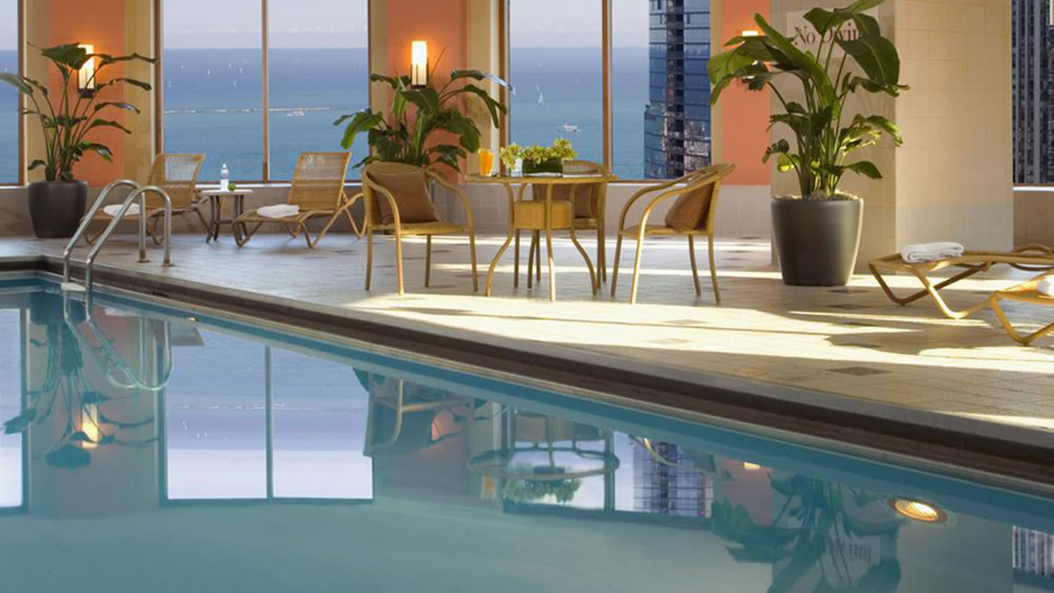 a palm tree on a table