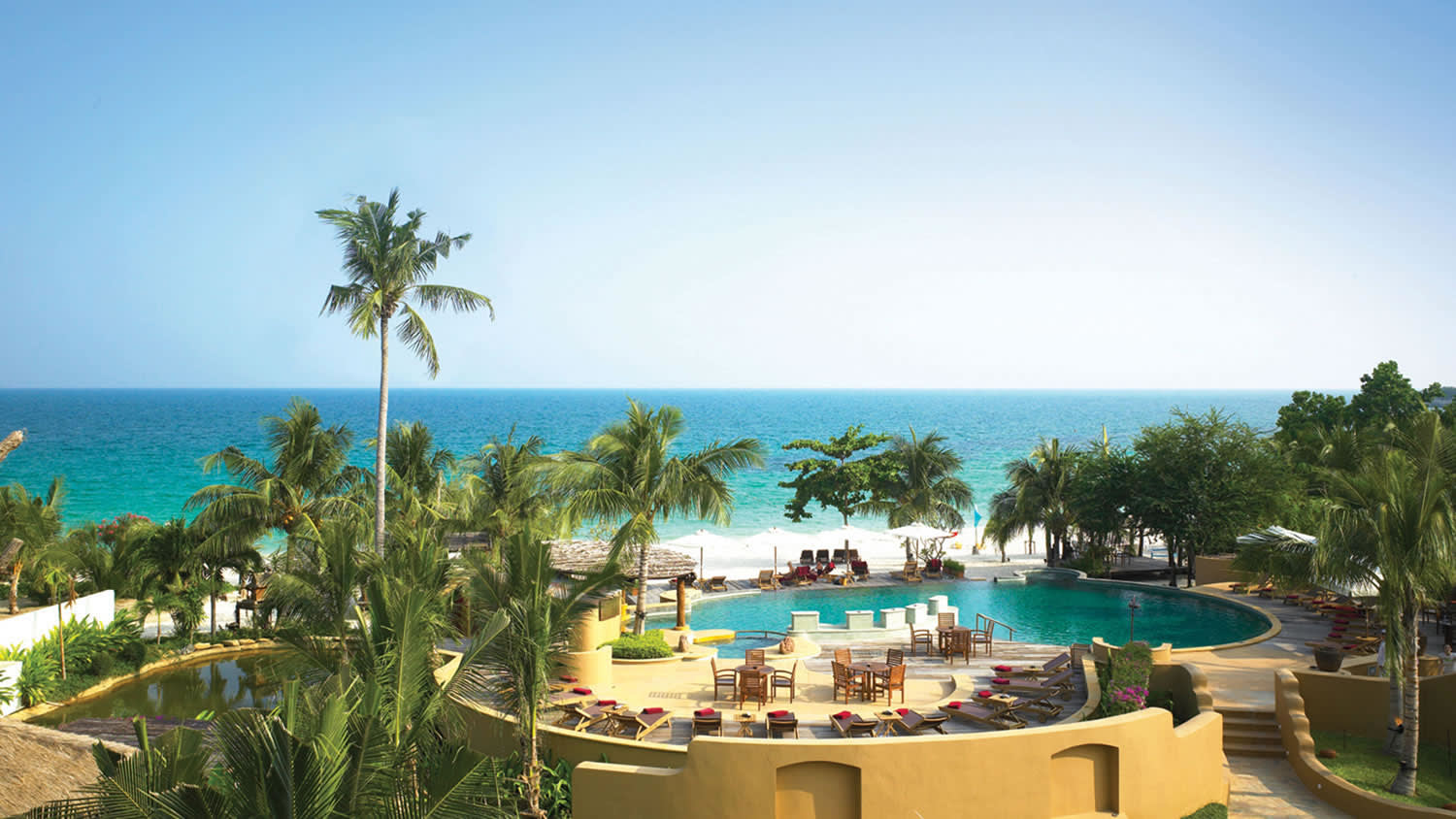 a pool next to a palm tree