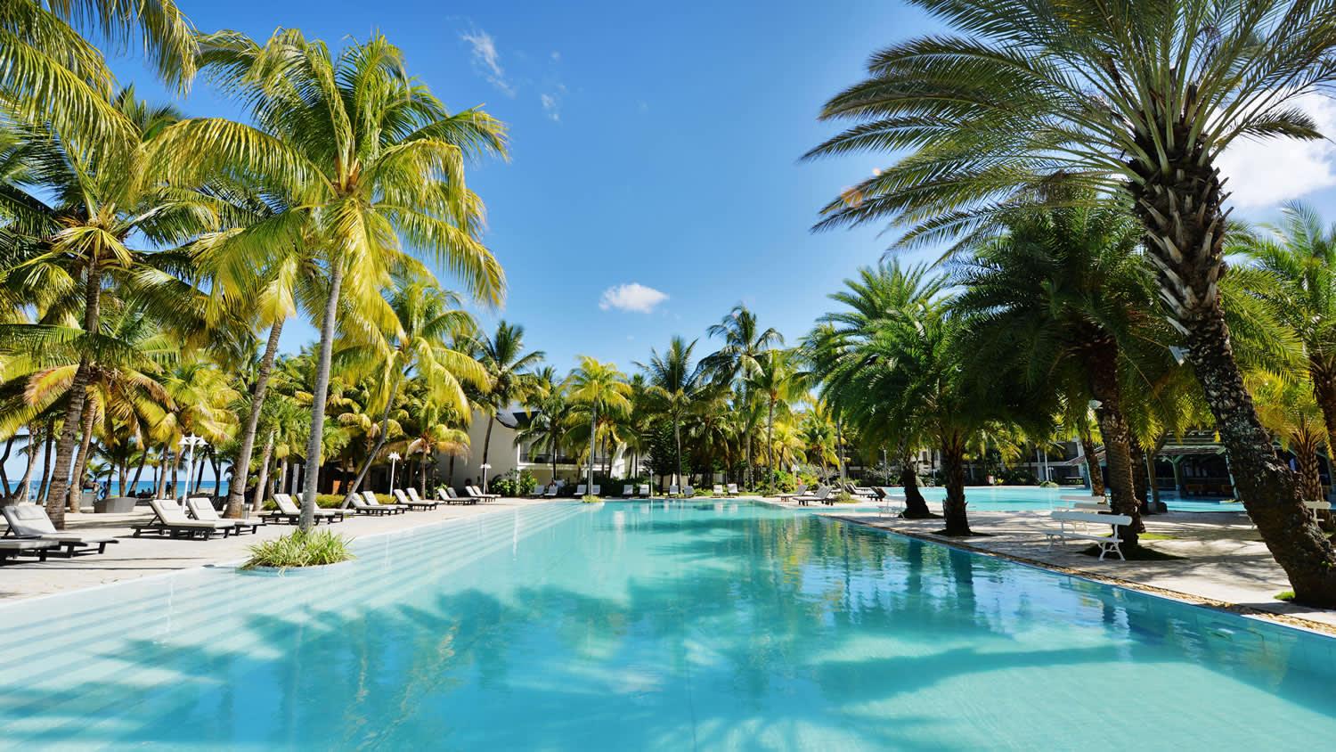a pool next to a body of water surrounded by palm trees