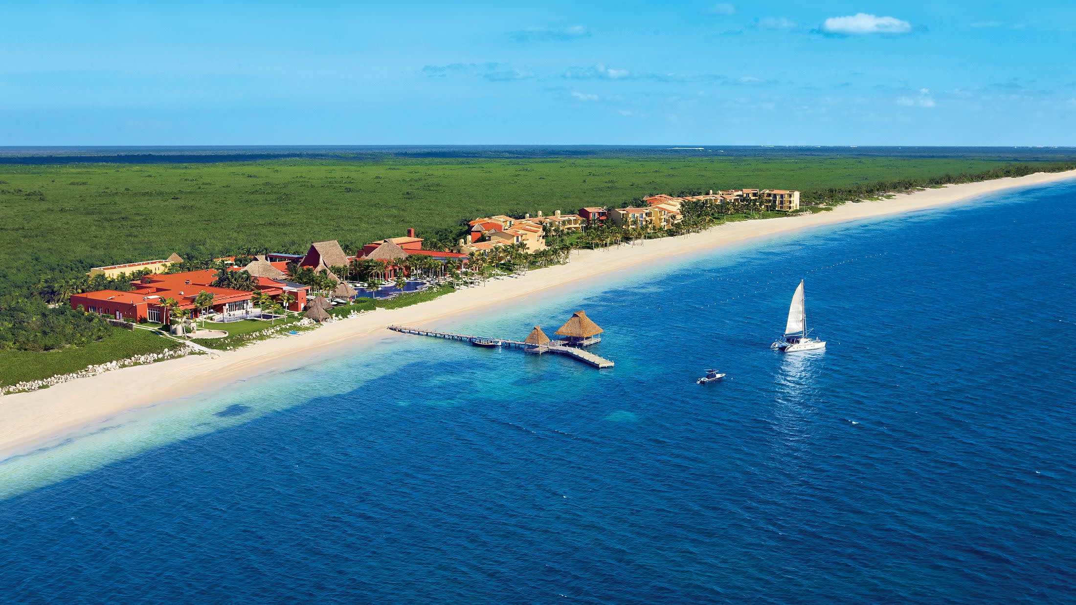 a group of people swimming in a body of water