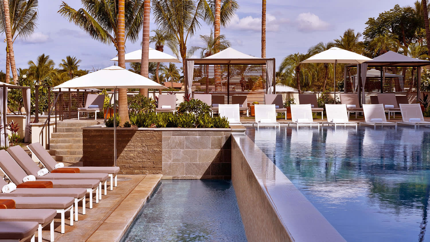 a group of palm trees next to a pool