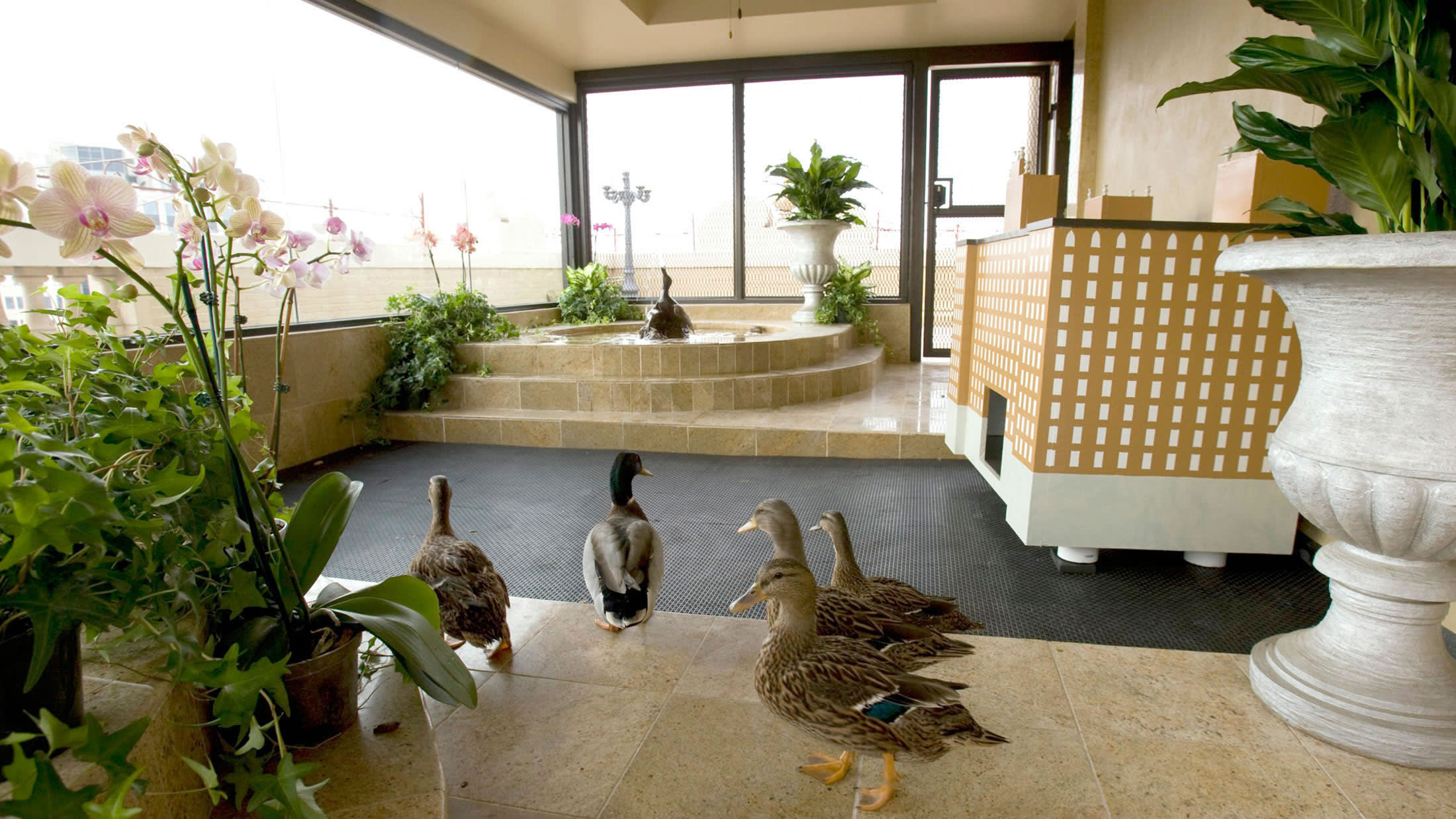 a bird sitting on top of a table