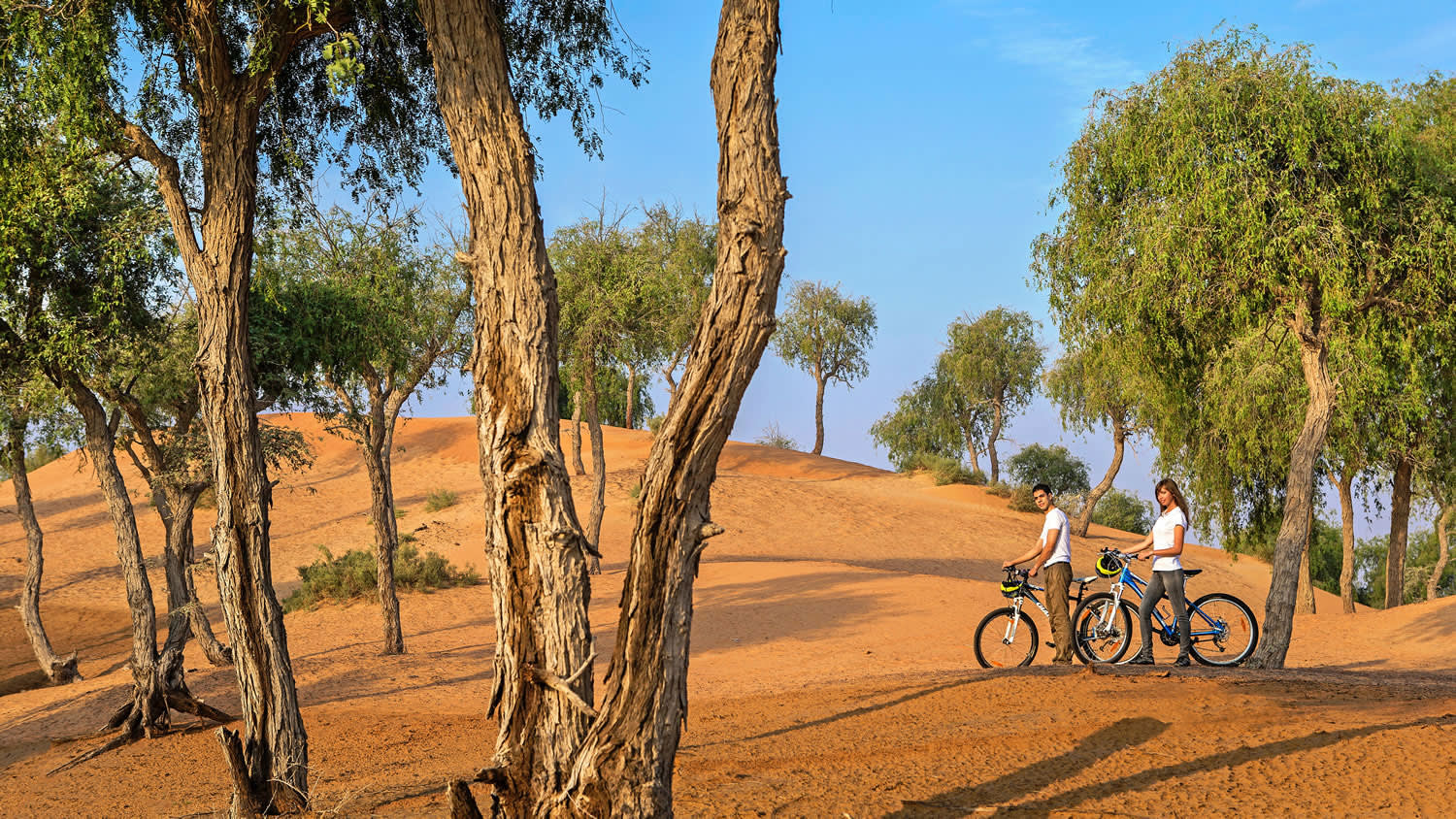 a person riding a bike down a dirt road