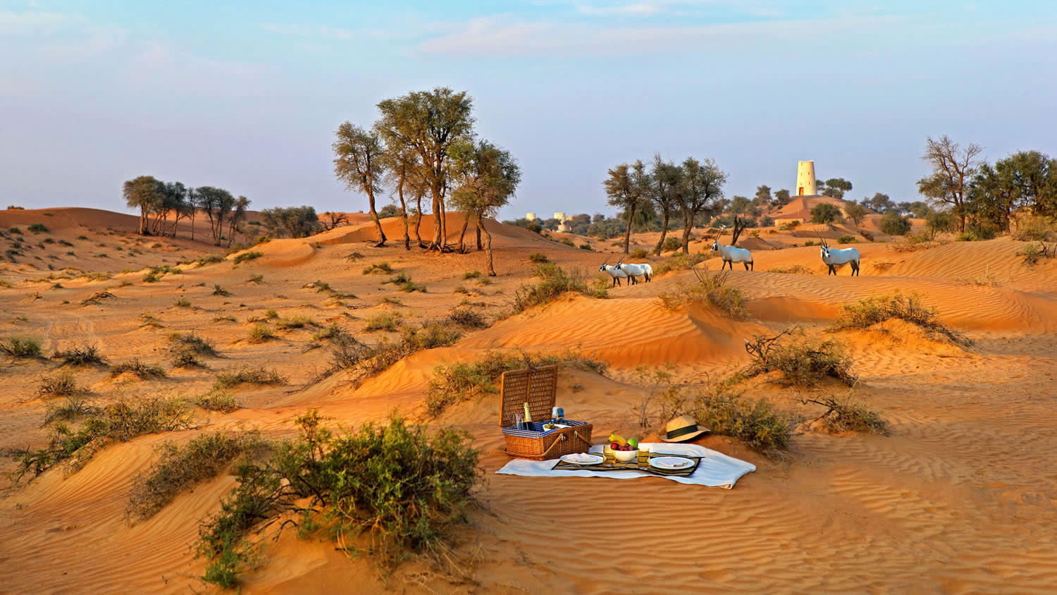 Al Wadi Desert, A Ritz-Carlton Partner Hotel