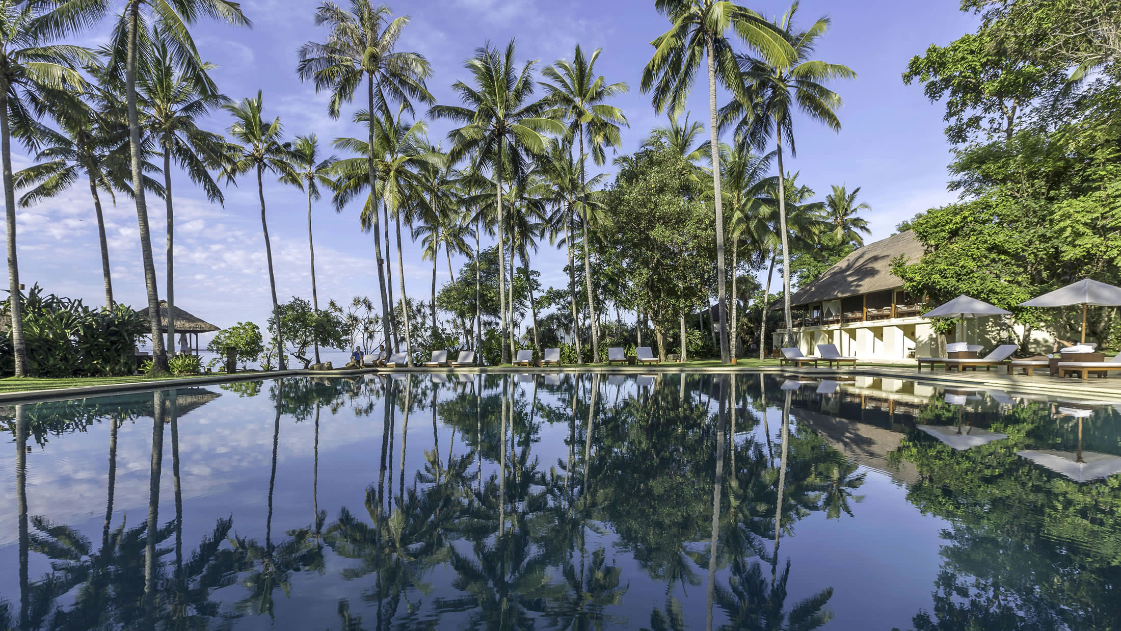 a body of water surrounded by palm trees