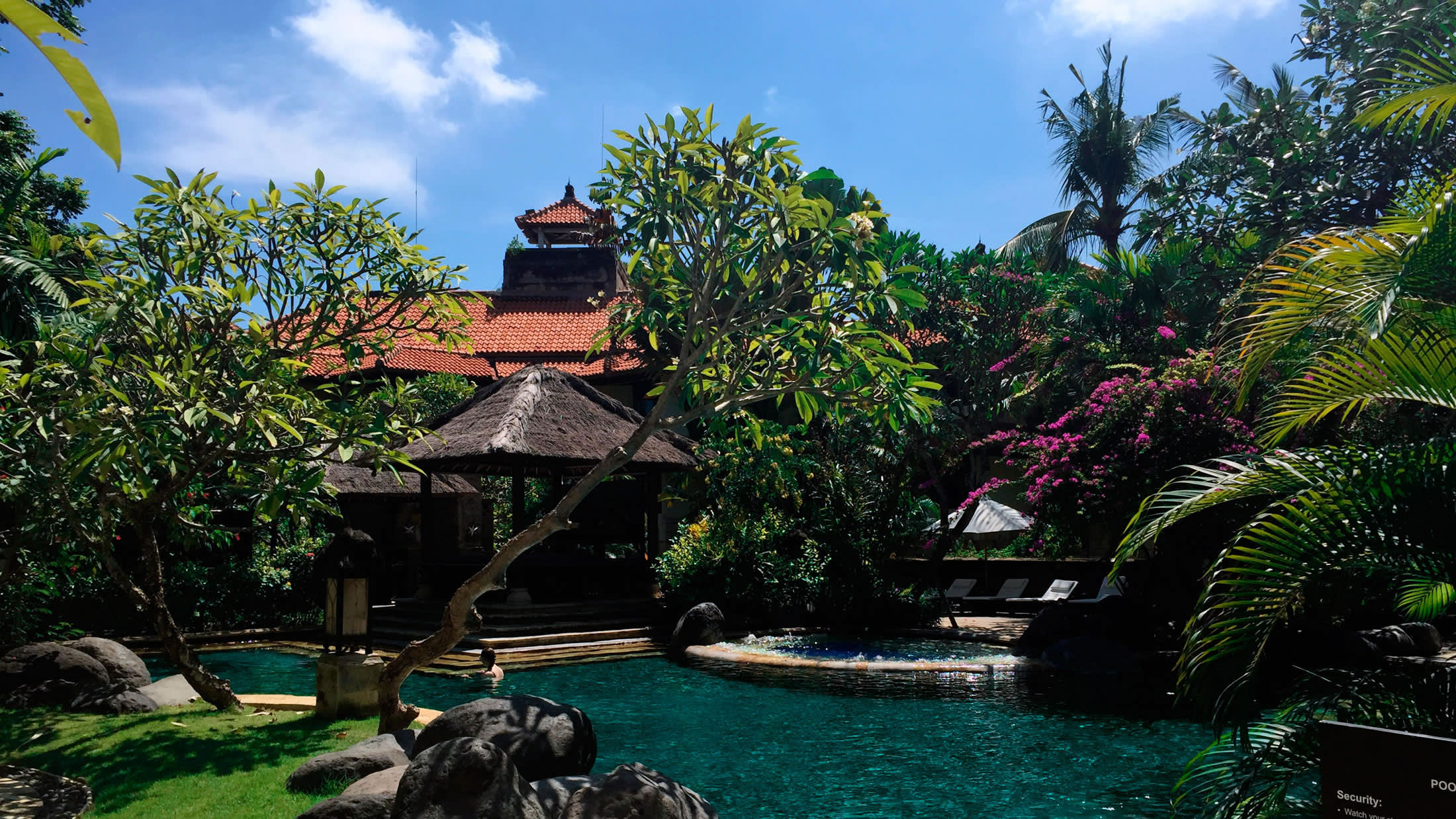a tree in front of a house