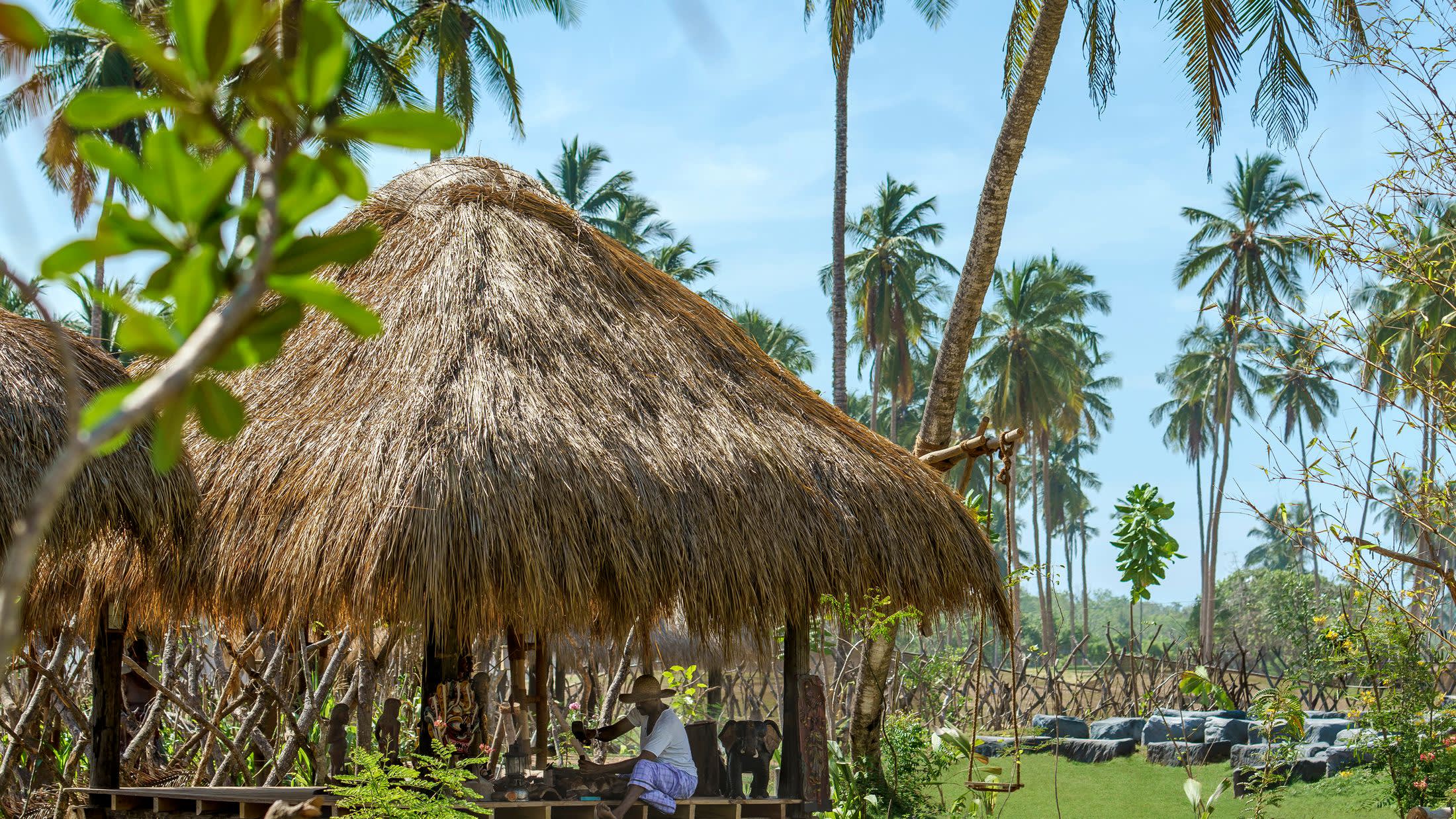 a group of palm trees next to a tree