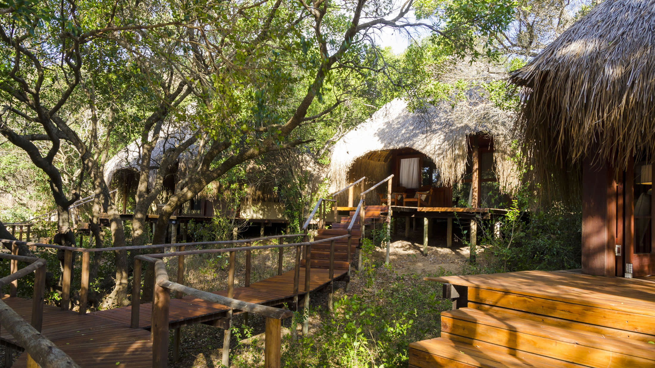 a wooden bench sitting next to a tree