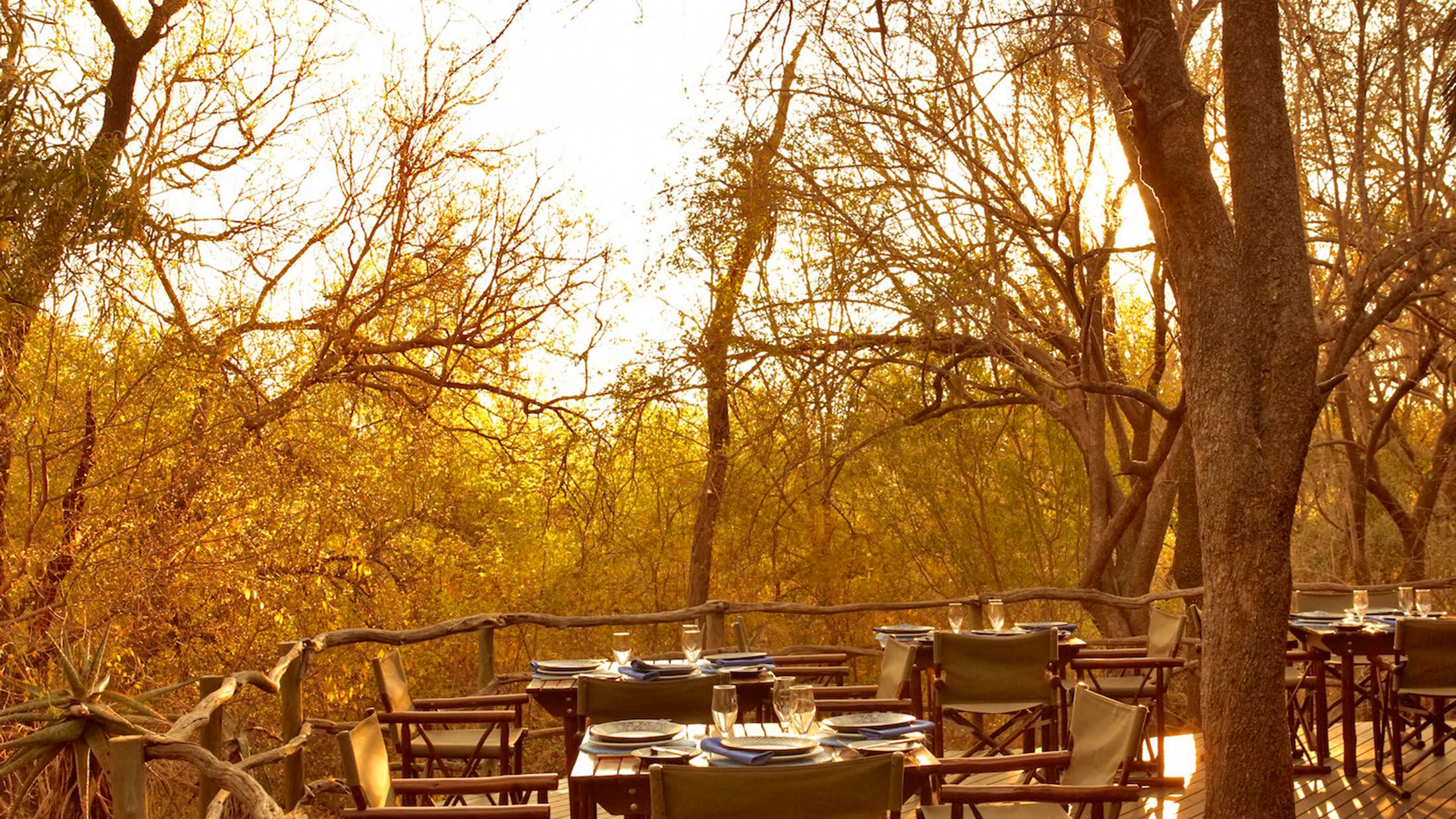 a close up of a picnic table