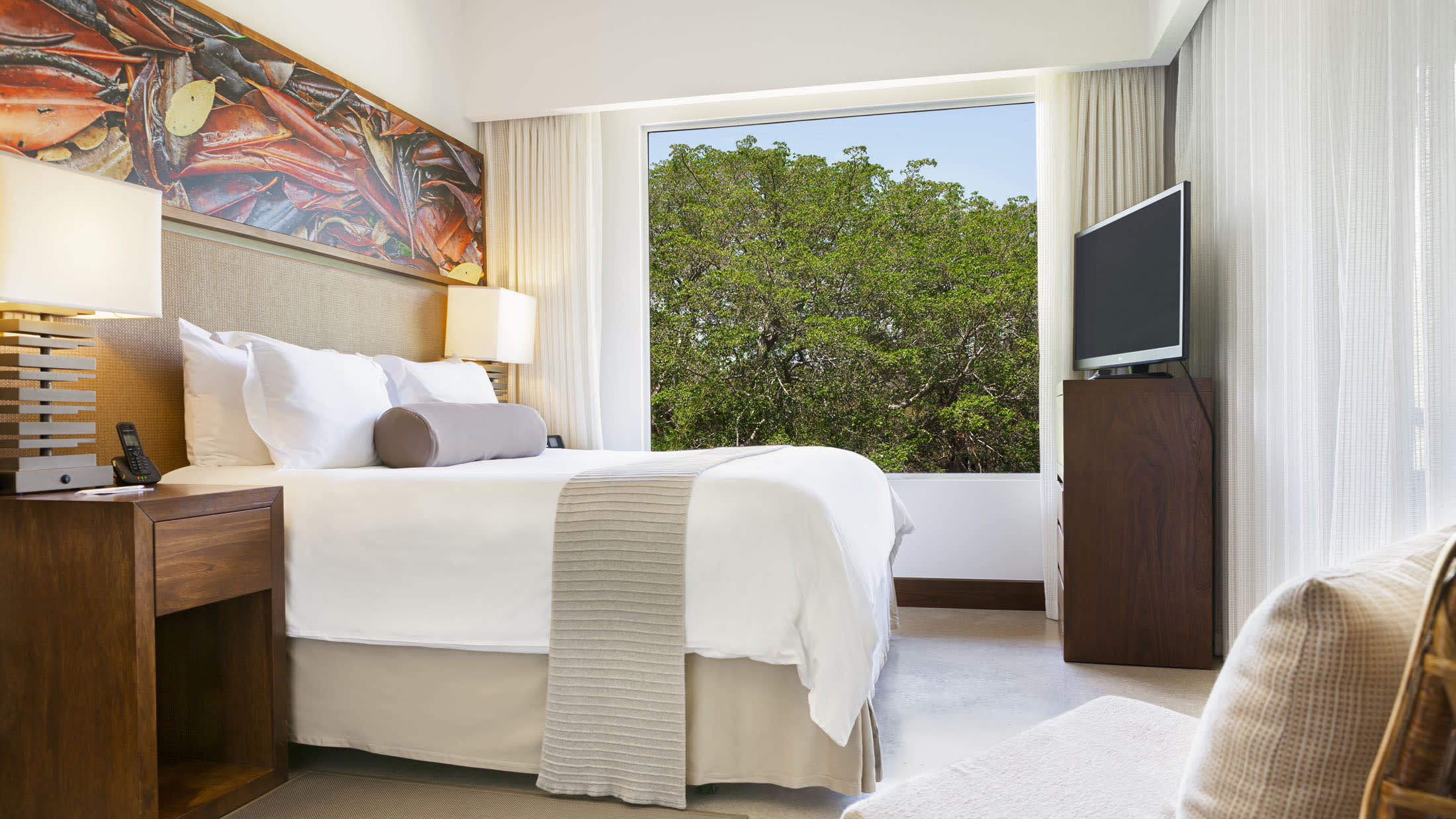 El Mangroove, Autograph Collection