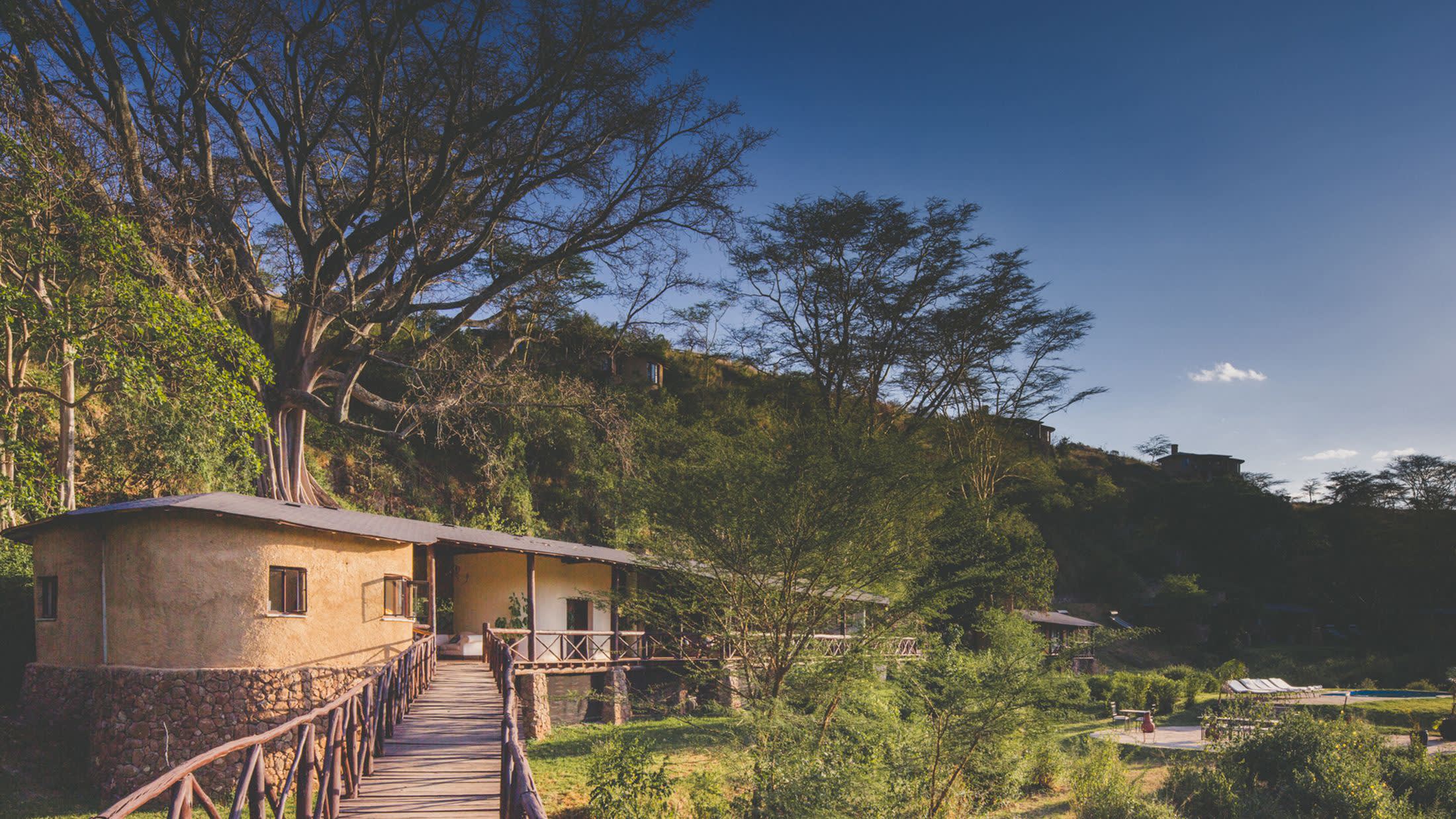 a house with trees in the background