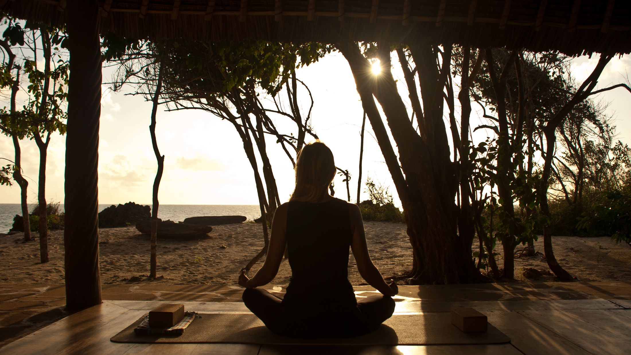 a person standing next to a tree
