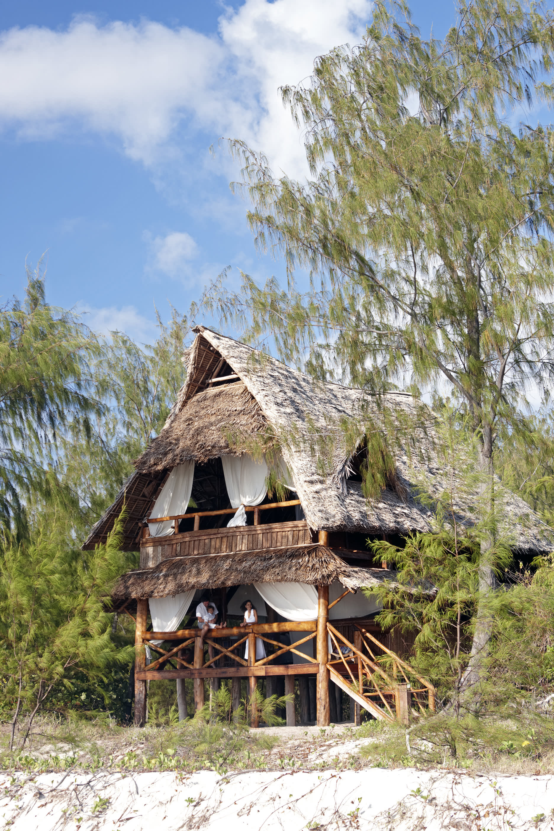 a house with trees in the background