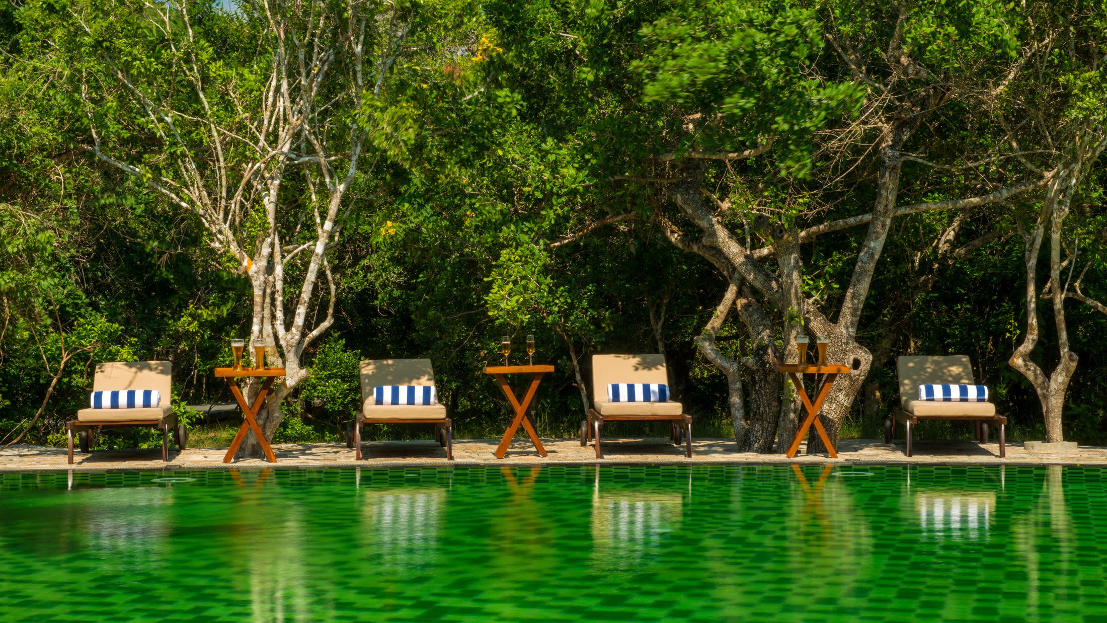Swimming pool, Chena Huts