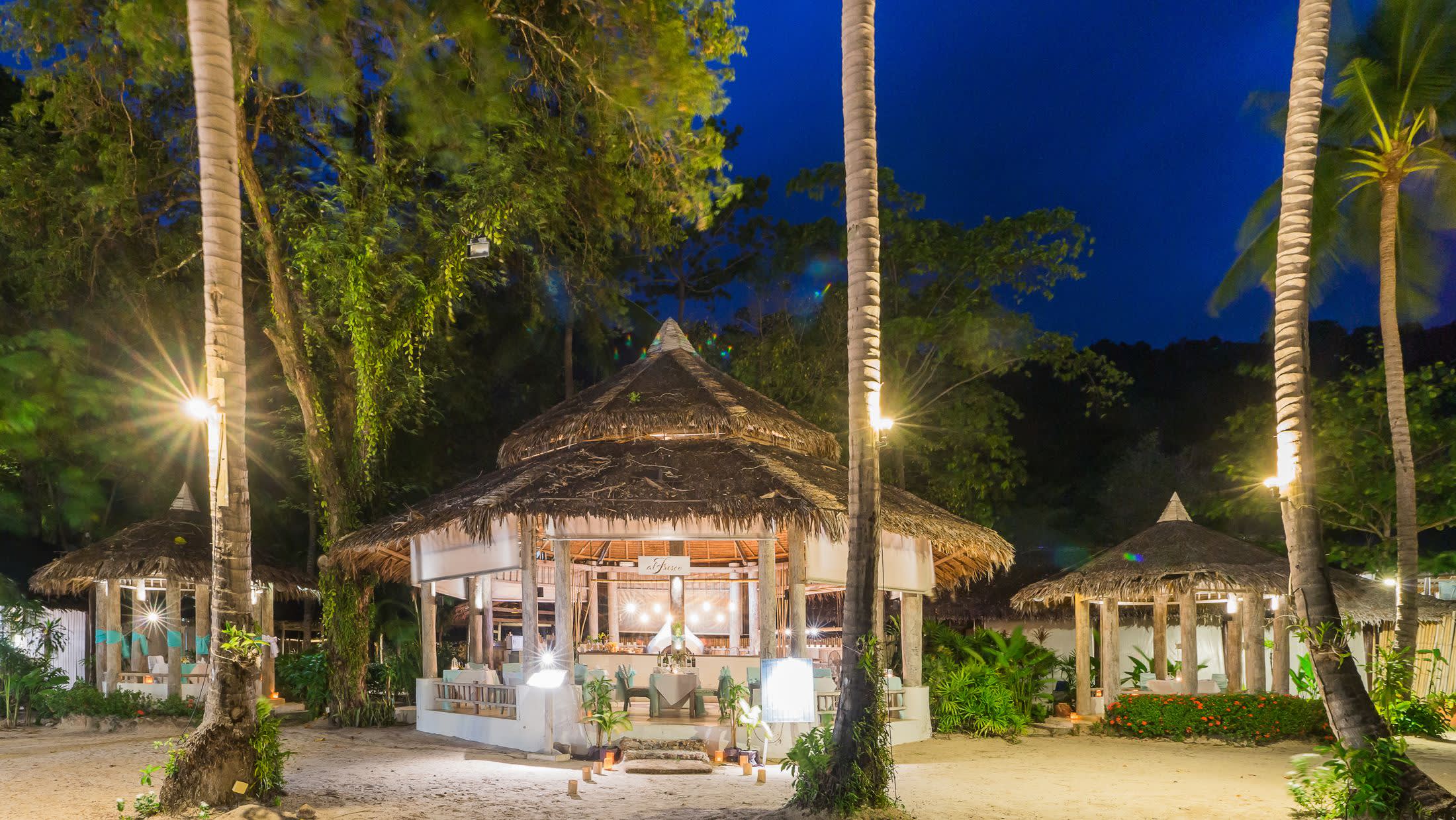 a group of palm trees