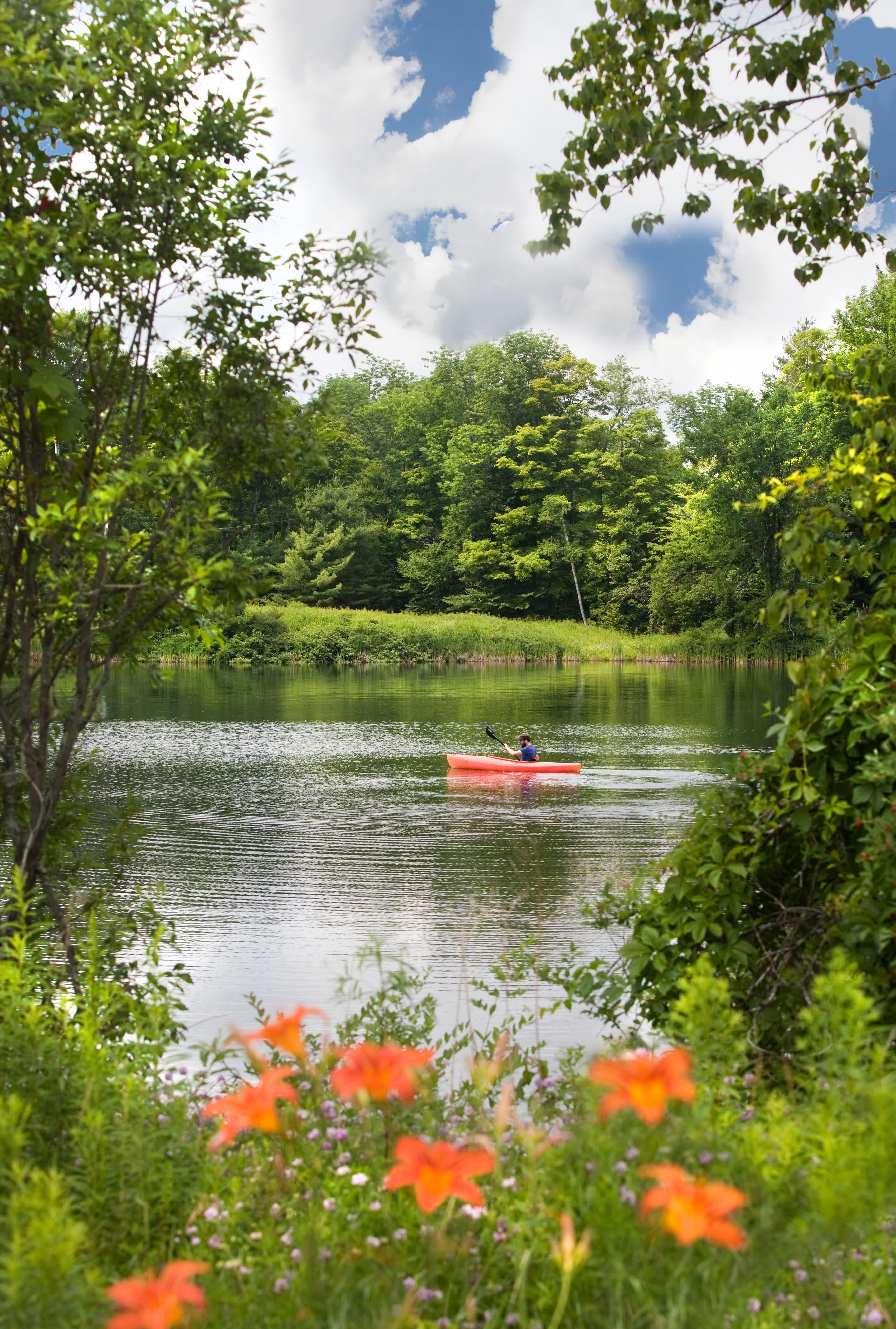 a small boat in a body of water surrounded by trees