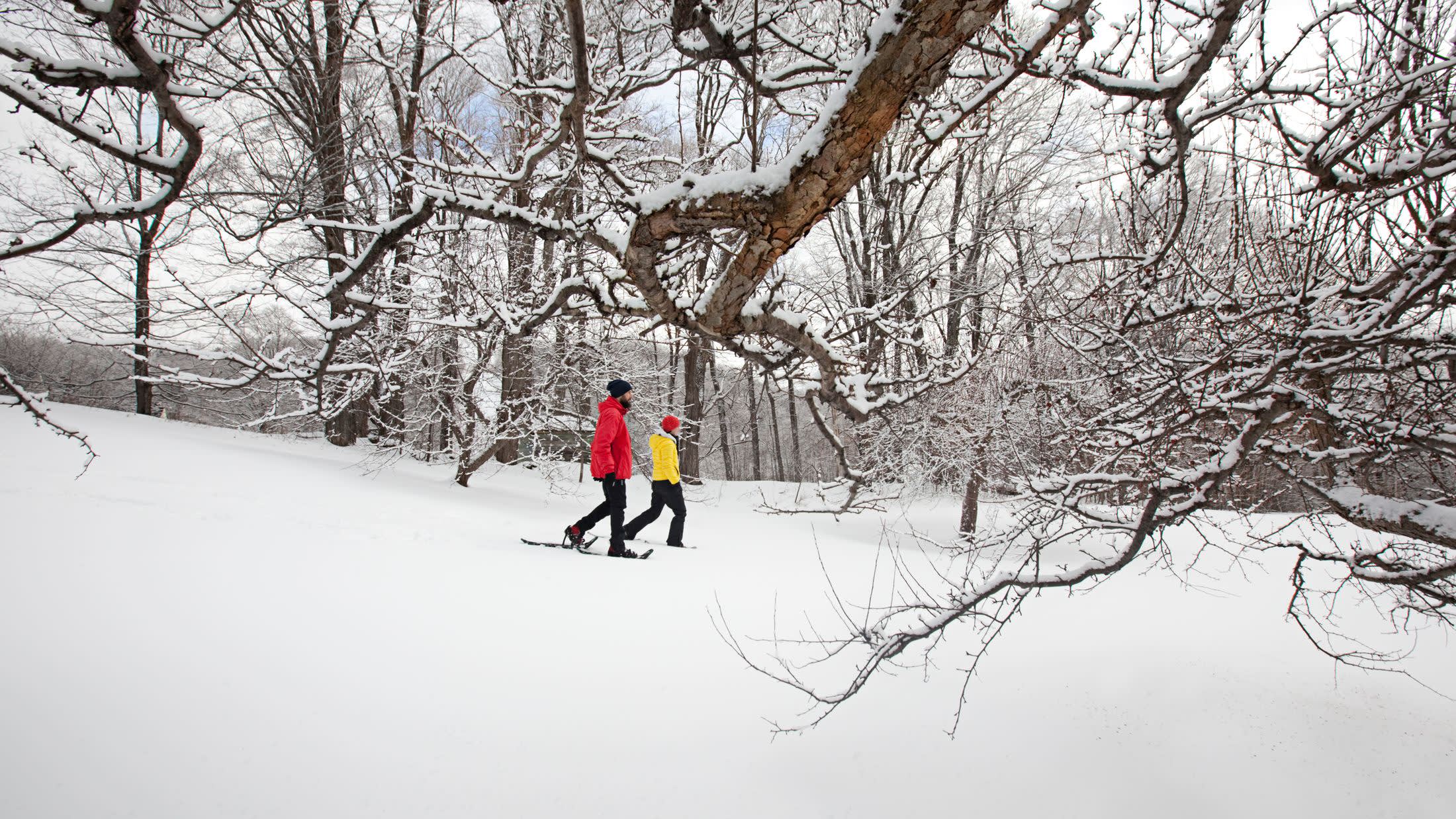 a man is cross country skiing in the snow