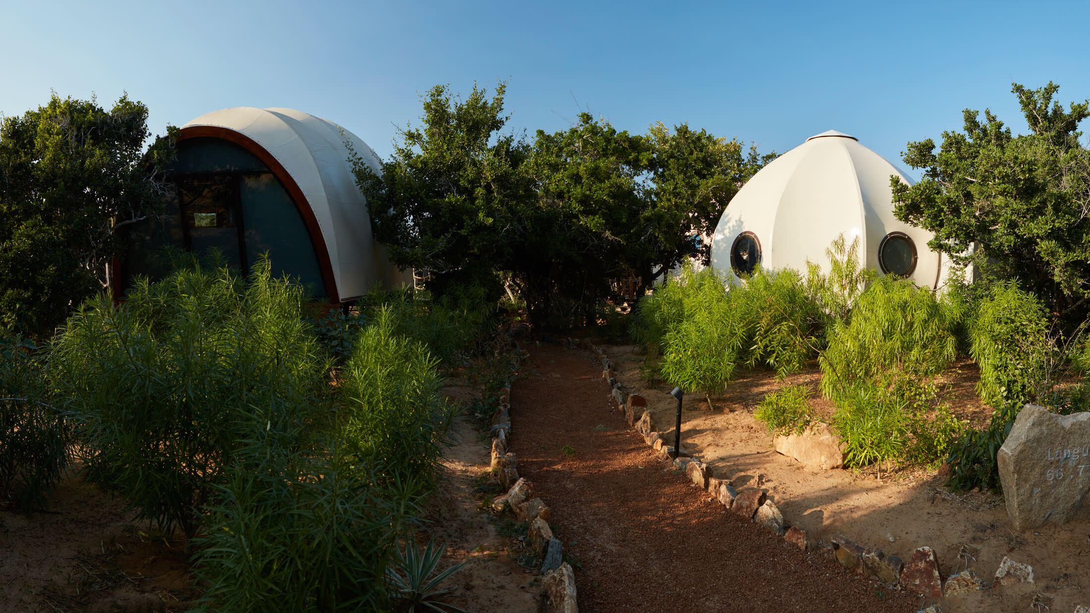 Family Cocoon & Urchin