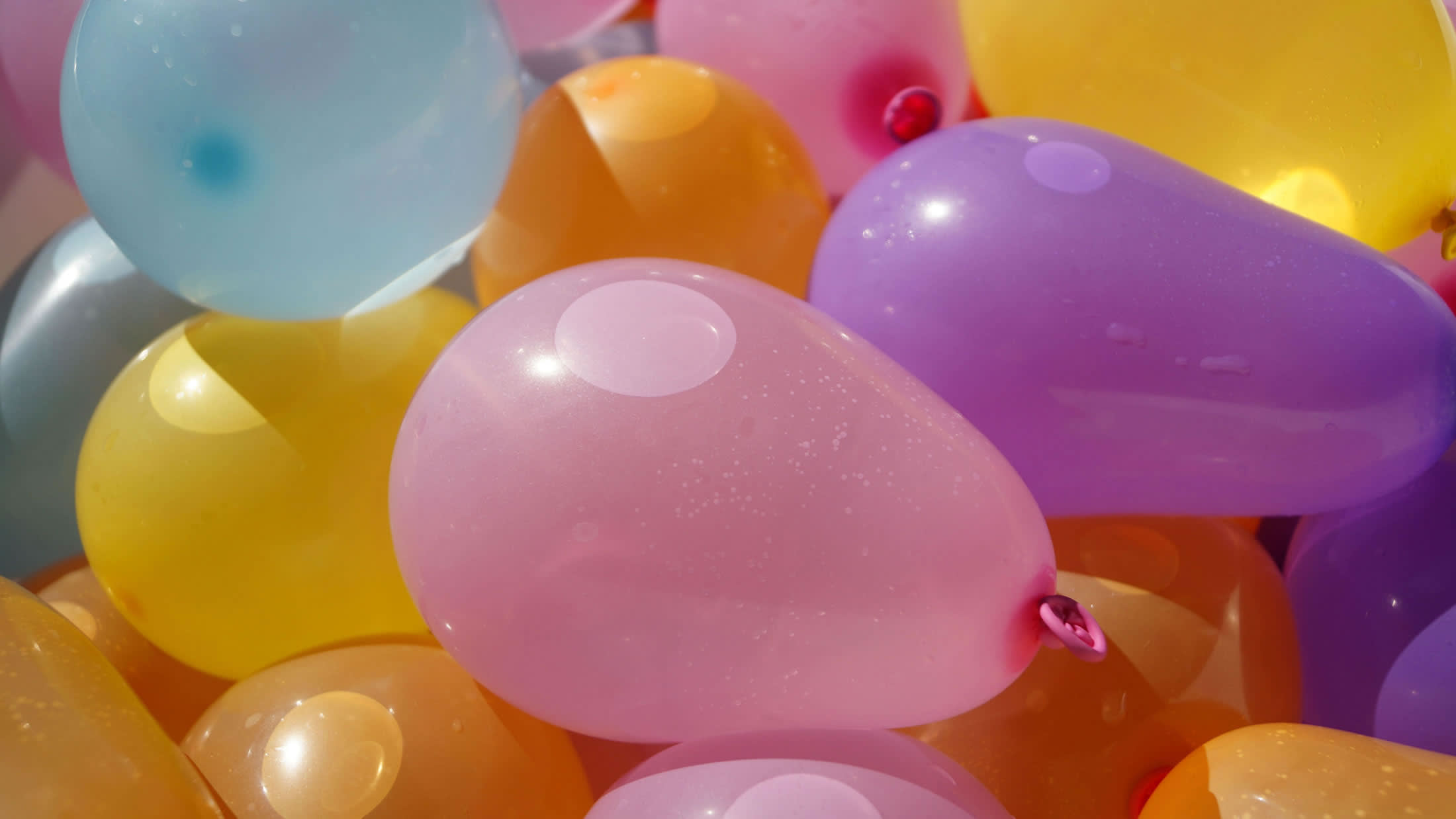 hayesandJarvis childrens entertainment