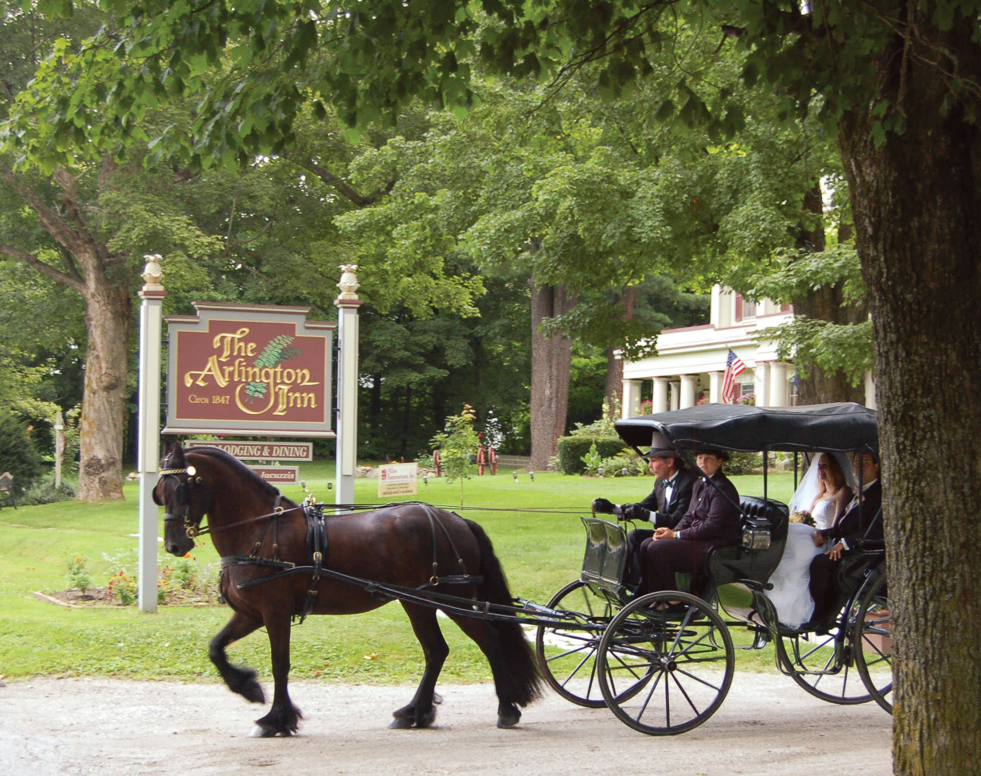 Horse and carriage at Arlington Inn
